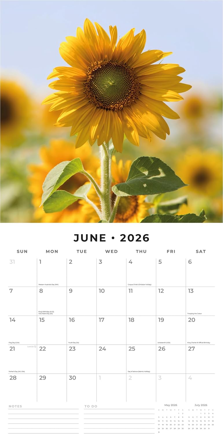 Red Robin 2026 Sunflowers Monthly Wall Calendar | 12" x 24" Open | Premium Thick & Sturdy Paper | Hangable 12 Month Calendar | Lined Notes & To Do Area | Vivid Images | Plastic Free