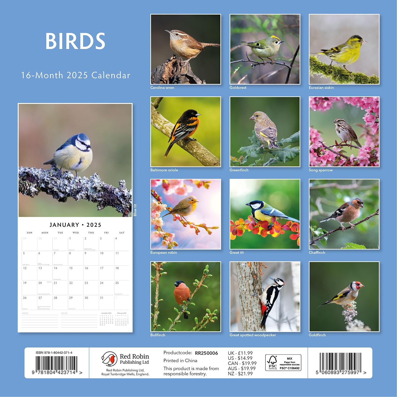 Red Robin 2025 Birds Monthly Wall Calendar | 12" x 24" Open | Premium Thick & Sturdy Paper | Hangable 12 Month Calendar | Plastic Free | 4 Month Transition Page for 2024