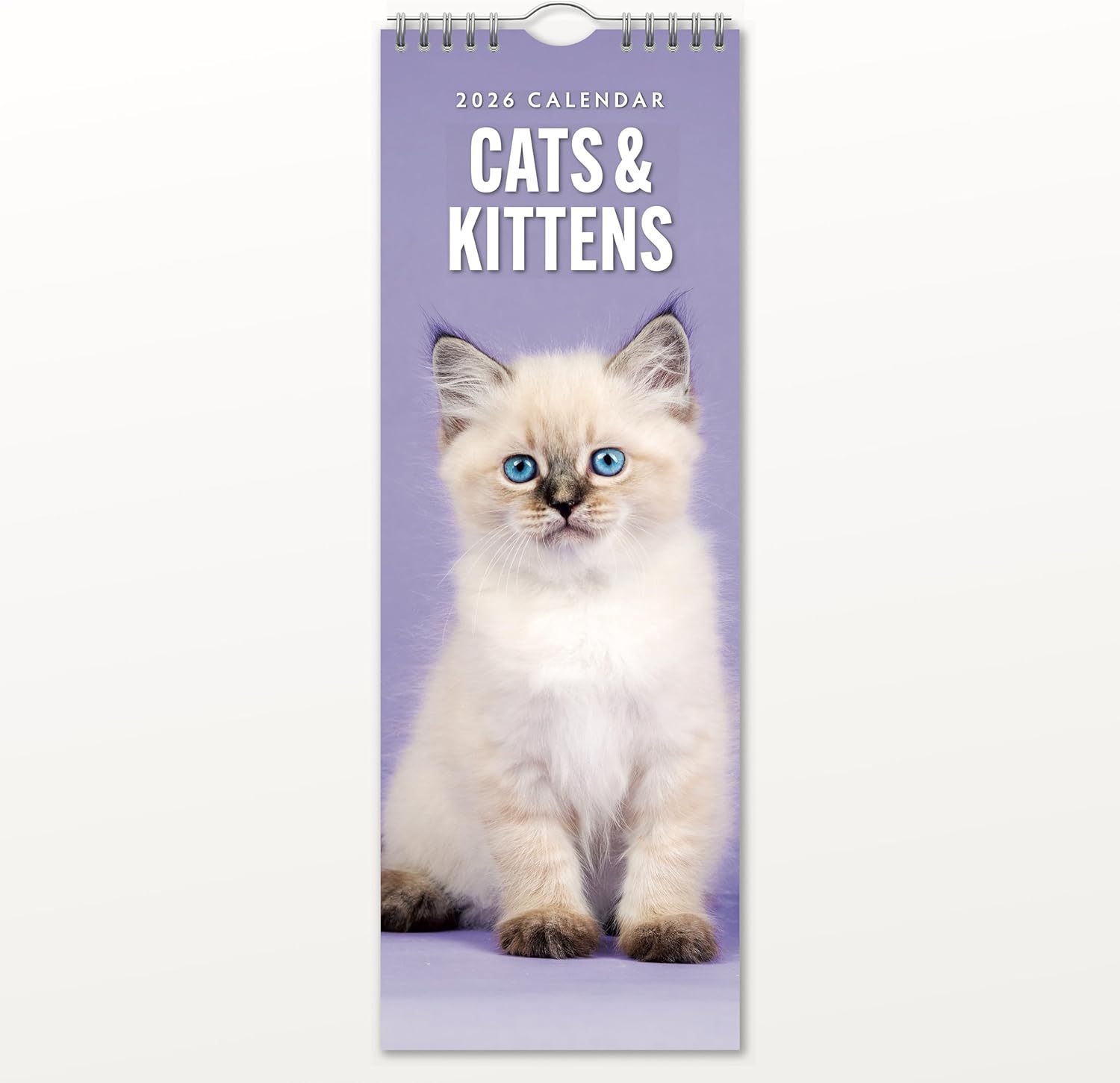 Red Robin 2026 Cats & Kittens Monthly Slim Calendar | 6" x 16" Open | Premium Thick & Sturdy Paper | Tall Hangable 12 Month Calendar | Vivid Images | Plastic Free | Wire Spiral
