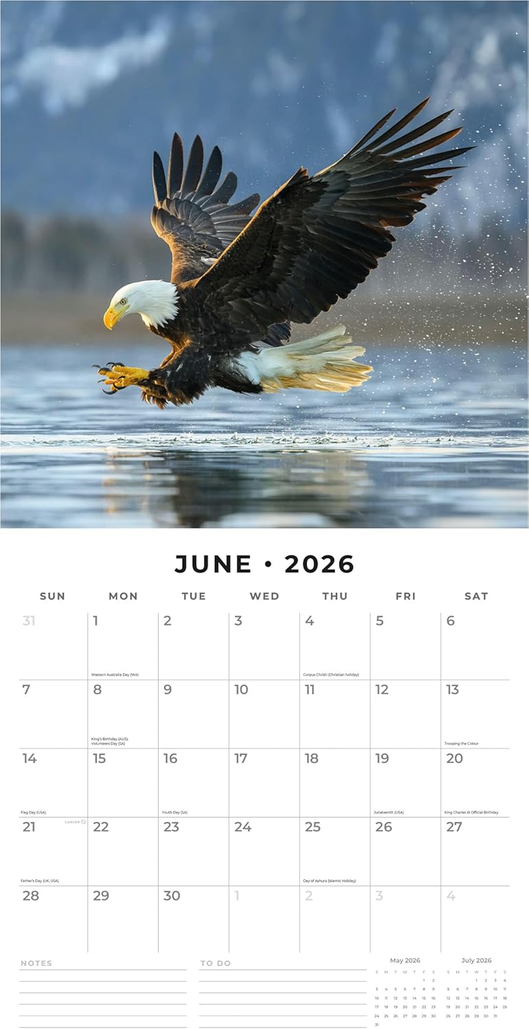 Red Robin 2026 Wildlife of America Monthly Wall Calendar | 12" x 24" Open | Premium Thick & Sturdy Paper | Hangable 12 Month Calendar | Lined Notes & To Do Area | Vivid Images | Plastic Free