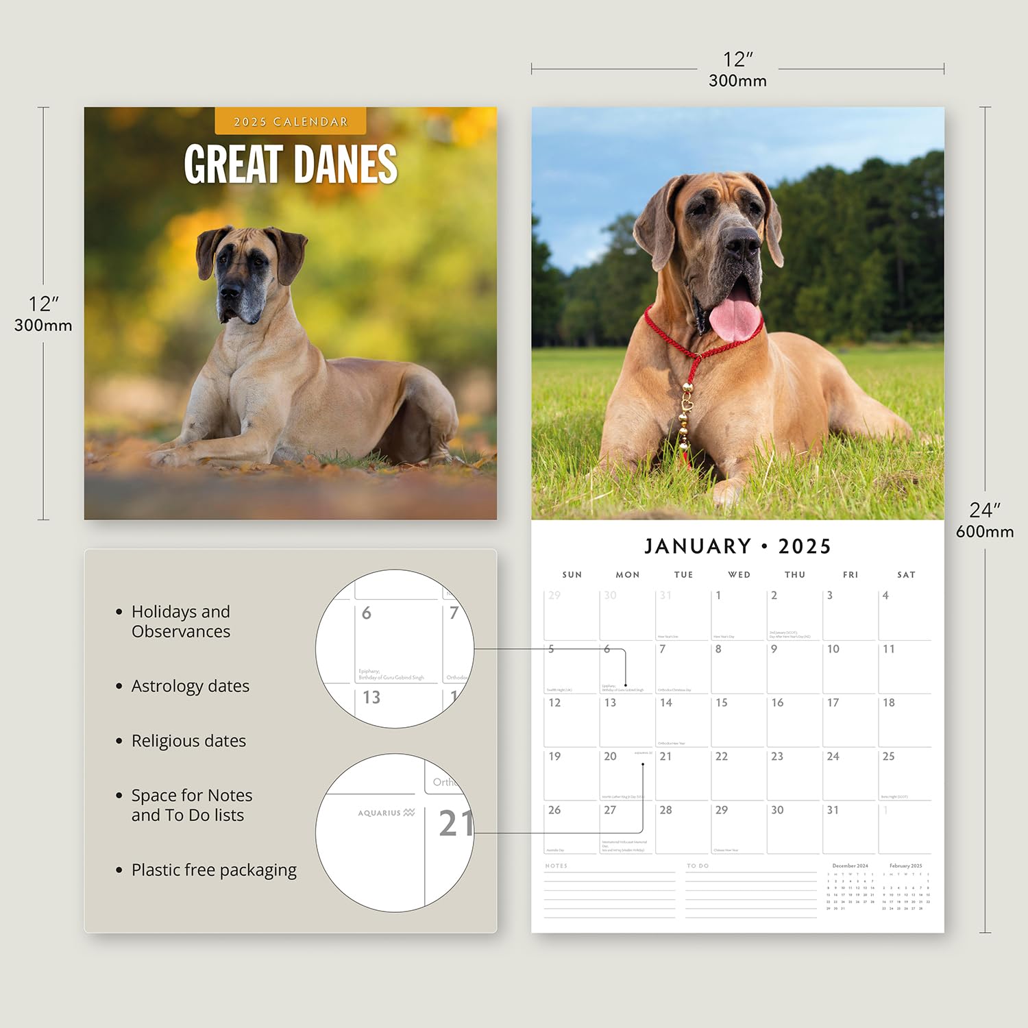 Red Robin 2025 Great Danes Monthly Wall Calendar | 12" x 24" Open | Premium Thick & Sturdy Paper | Hangable 12 Month Calendar | Plastic Free | 4 Month Transition Page for 2024