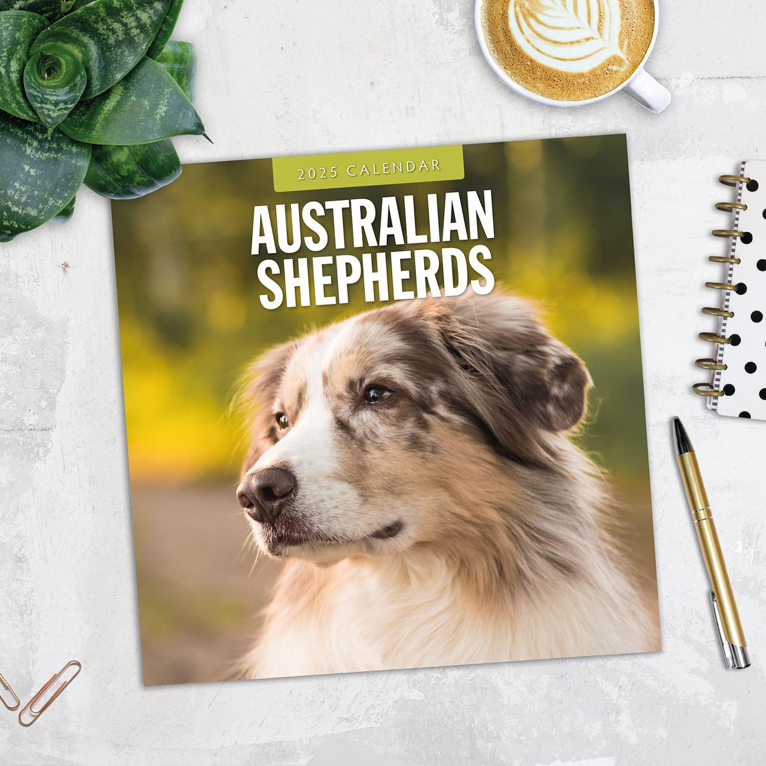 Red Robin 2025 Australian Shepherds Monthly Wall Calendar | 12" x 24" Open | Premium Thick & Sturdy Paper | Hangable 12 Month Calendar | Plastic Free | 4 Month Transition Page for 2024