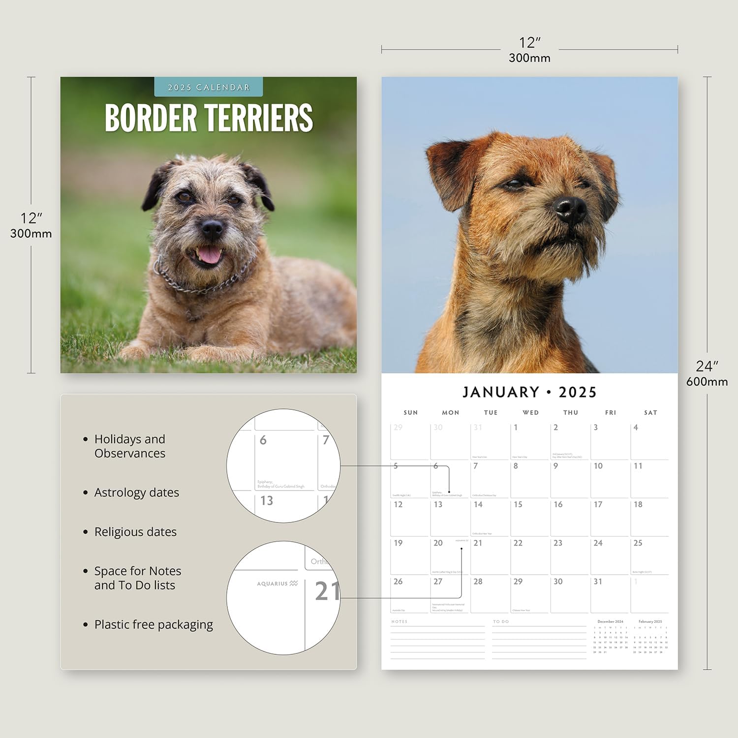 Red Robin 2025 Border Terriers Monthly Wall Calendar | 12" x 24" Open | Premium Thick & Sturdy Paper | Hangable 12 Month Calendar | Plastic Free | 4 Month Transition Page for 2024