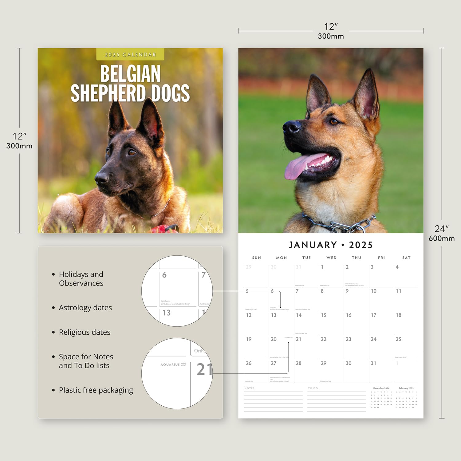 Red Robin 2025 Belgian Shepherd Dogs Monthly Wall Calendar | 12" x 24" Open | Premium Thick & Sturdy Paper | Hangable 12 Month Calendar | Plastic Free | 4 Month Transition Page for 2024