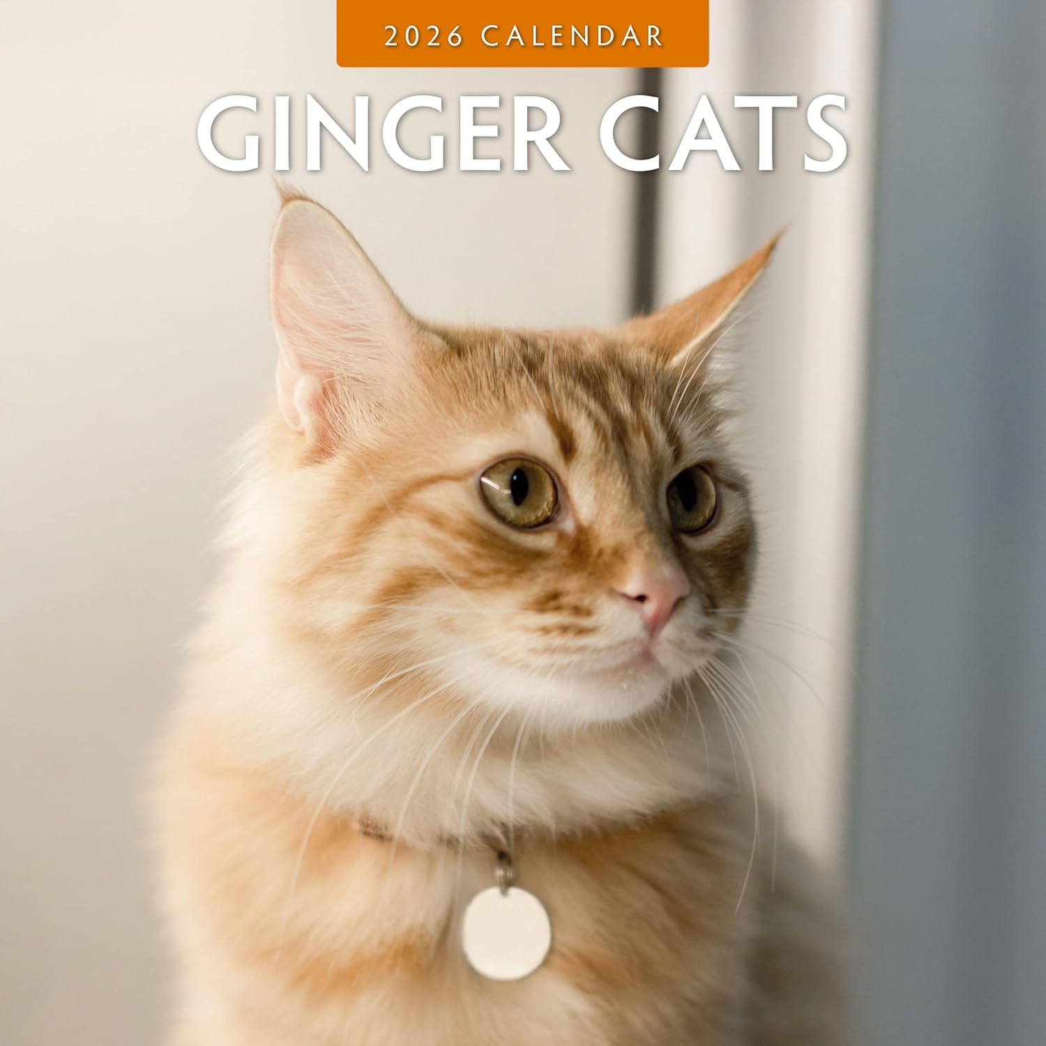 Red Robin 2026 Ginger Cats Monthly Wall Calendar | 12" x 24" Open | Premium Thick & Sturdy Paper | Hangable 12 Month Calendar | Lined Notes & To Do Area | Vivid Images | Plastic Free