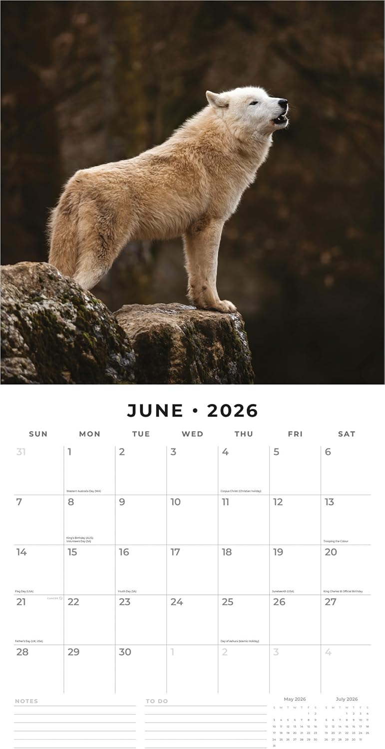 Red Robin 2026 Wolves Monthly Wall Calendar | 12" x 24" Open | Premium Thick & Sturdy Paper | Hangable 12 Month Calendar | Lined Notes & To Do Area | Vivid Images | Plastic Free