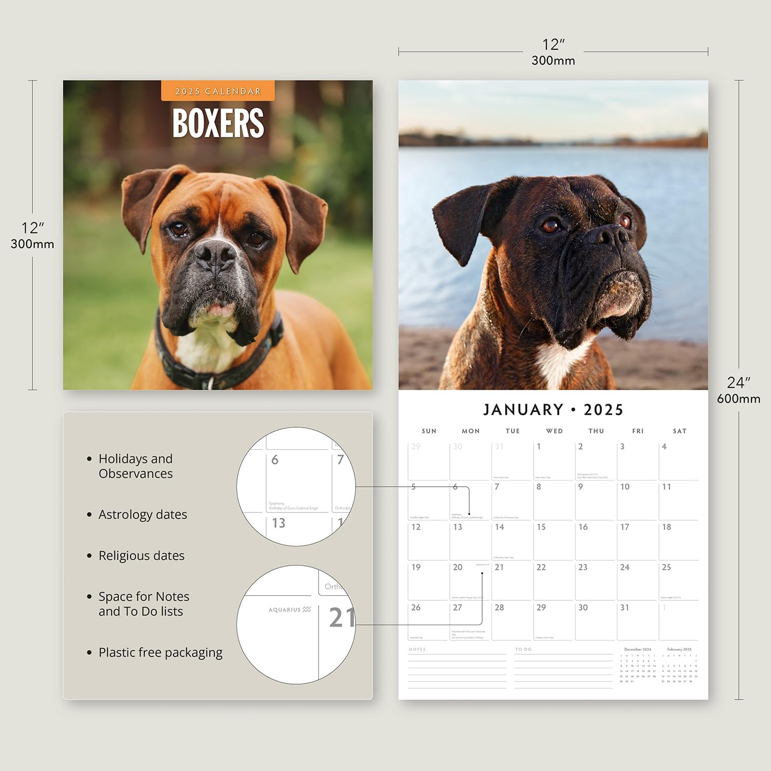 Red Robin 2025 Boxers Monthly Wall Calendar | 12" x 24" Open | Premium Thick & Sturdy Paper | Hangable 12 Month Calendar | Plastic Free | 4 Month Transition Page for 2024