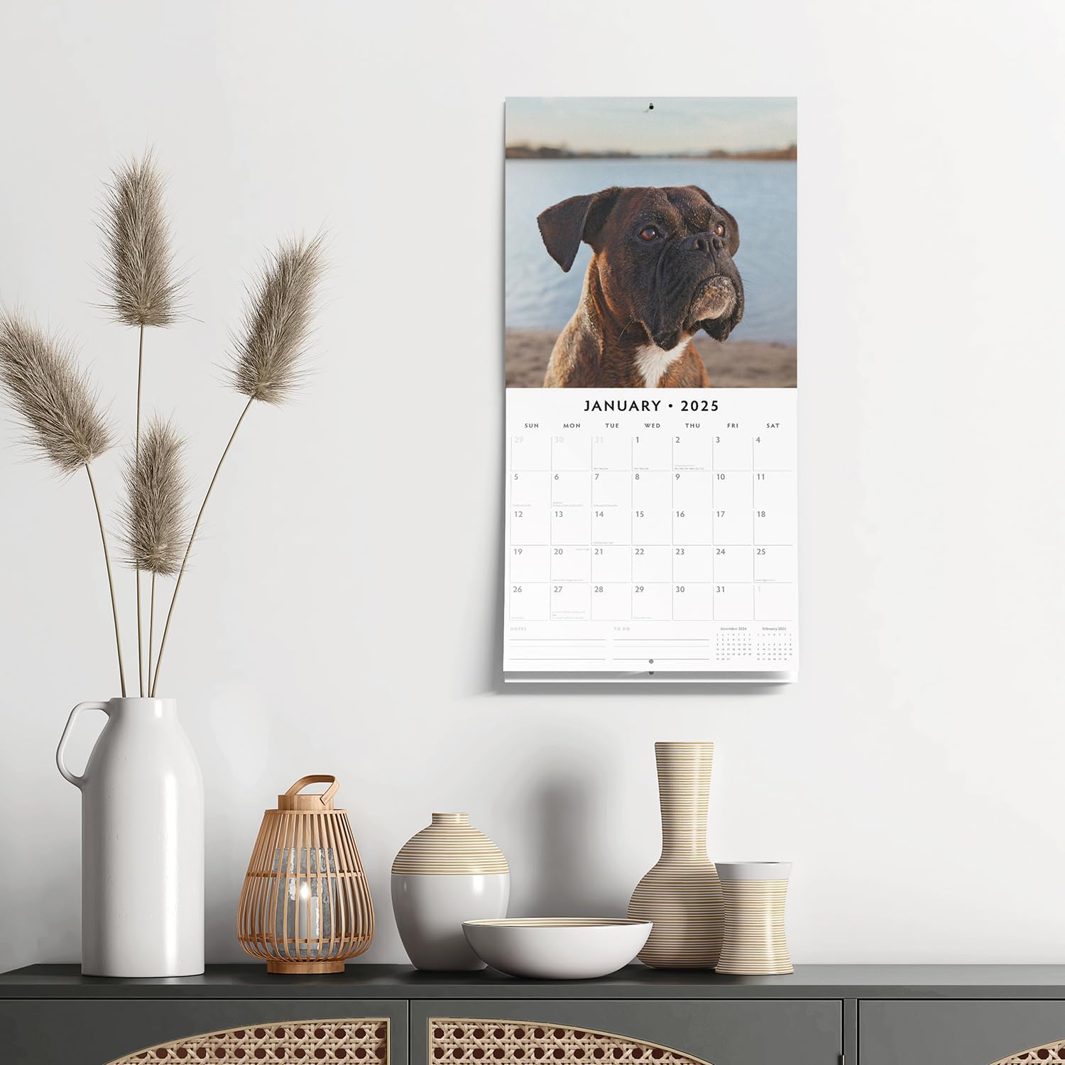 Red Robin 2025 Boxers Monthly Wall Calendar | 12" x 24" Open | Premium Thick & Sturdy Paper | Hangable 12 Month Calendar | Plastic Free | 4 Month Transition Page for 2024