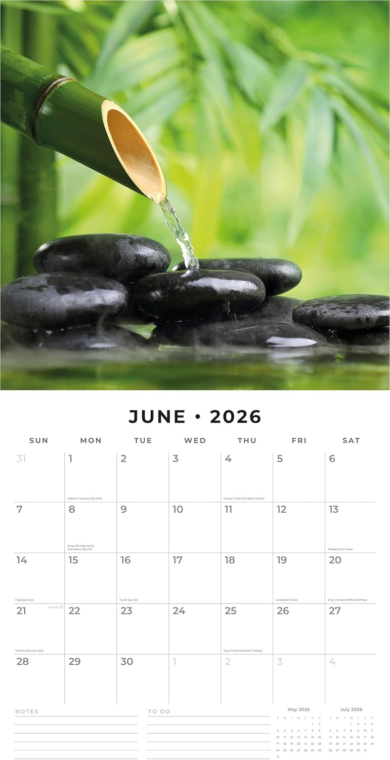 Red Robin 2026 Zen Monthly Wall Calendar | 12" x 24" Open | Premium Thick & Sturdy Paper | Hangable 12 Month Calendar | Lined Notes & To Do Area | Vivid Images | Plastic Free