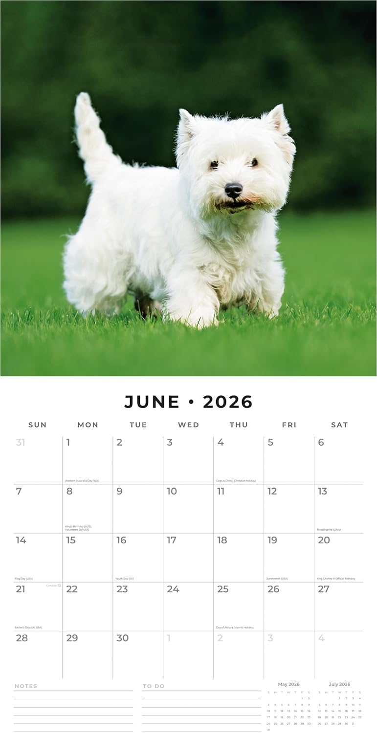 Red Robin 2026 West Highland White Terriers Monthly Wall Calendar | 12" x 24" Open | Premium Thick & Sturdy Paper | Hangable 12 Month Calendar | Lined Notes & To Do Area | Vivid Images | Plastic Free