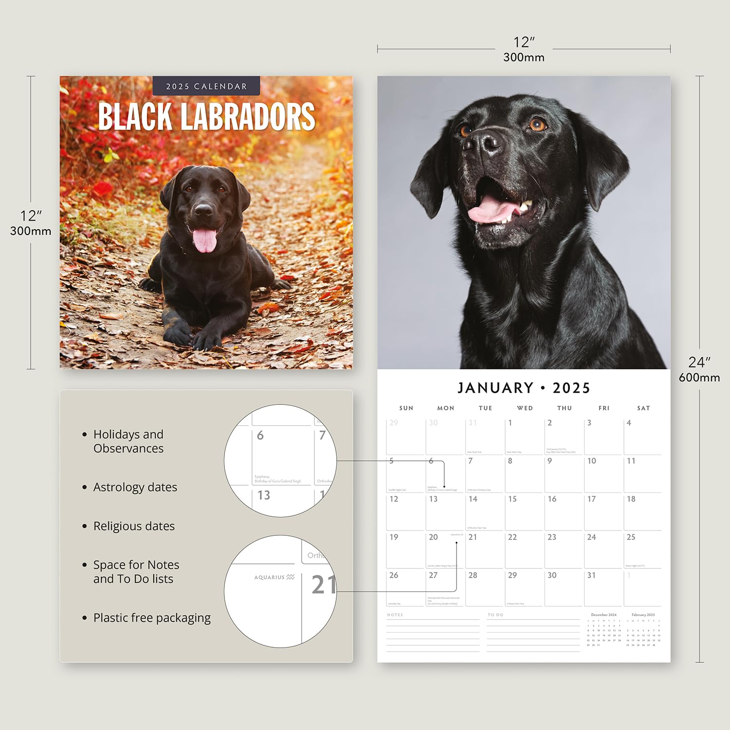 Red Robin 2025 Black Labradors Monthly Wall Calendar | 12" x 24" Open | Premium Thick & Sturdy Paper | Hangable 12 Month Calendar | Plastic Free | 4 Month Transition Page for 2024