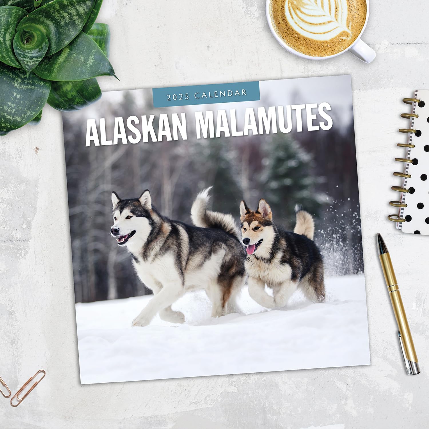 Red Robin 2025 Alaskan Malamutes Monthly Wall Calendar | 12" x 24" Open | Premium Thick & Sturdy Paper | Hangable 12 Month Calendar | Plastic Free | 4 Month Transition Page for 2024