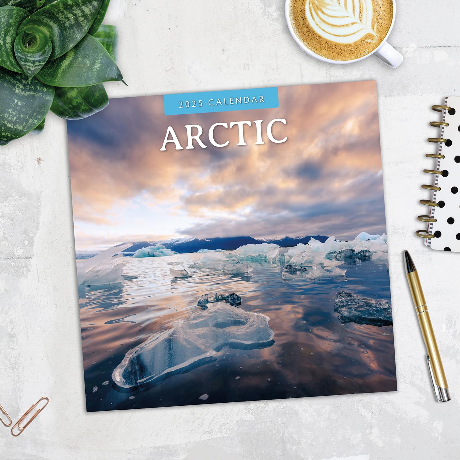 Red Robin 2025 Arctic Monthly Wall Calendar | 12" x 24" Open | Premium Thick & Sturdy Paper | Hangable 12 Month Calendar | Plastic Free | 4 Month Transition Page for 2024