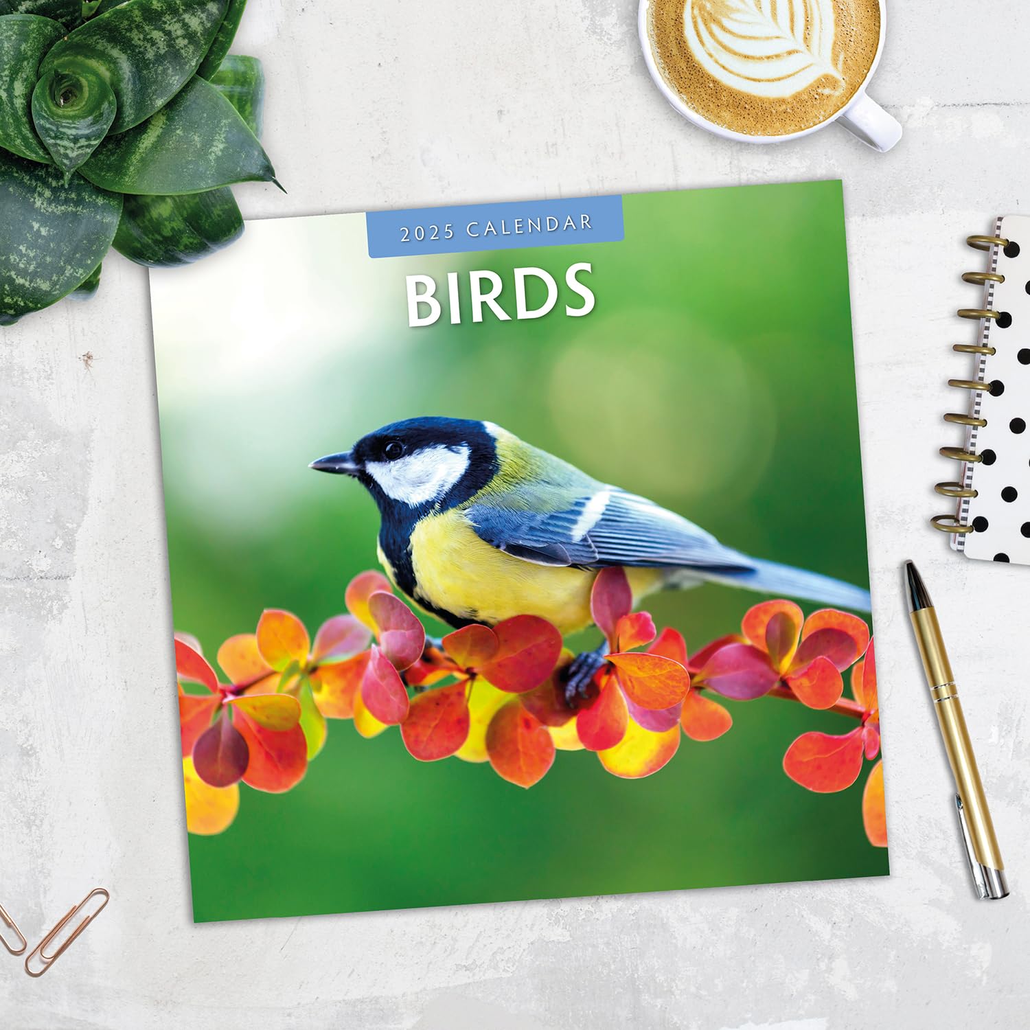 Red Robin 2025 Birds Monthly Wall Calendar | 12" x 24" Open | Premium Thick & Sturdy Paper | Hangable 12 Month Calendar | Plastic Free | 4 Month Transition Page for 2024