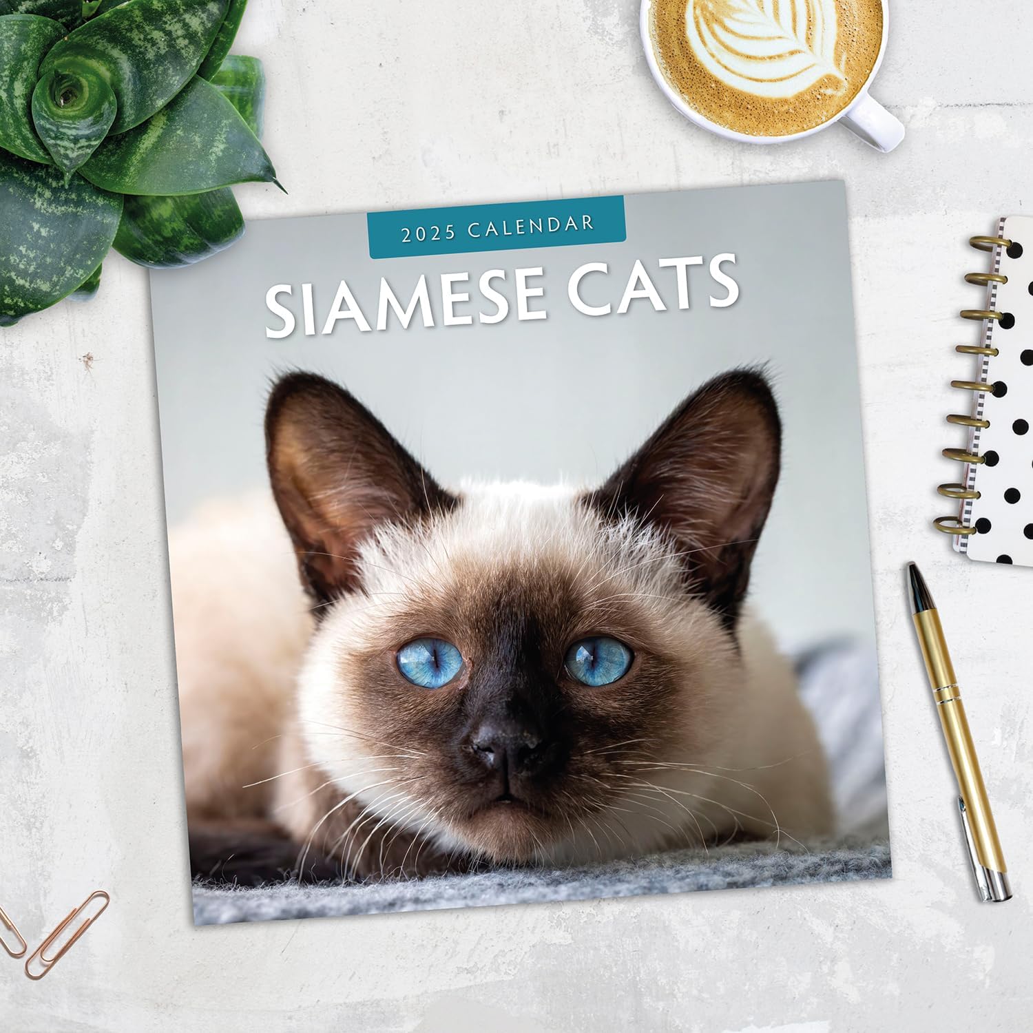 Red Robin 2025 Siamese Cats Monthly Wall Calendar | 12" x 24" Open | Premium Thick & Sturdy Paper | Hangable 12 Month Calendar | Plastic Free | 4 Month Transition Page for 2024