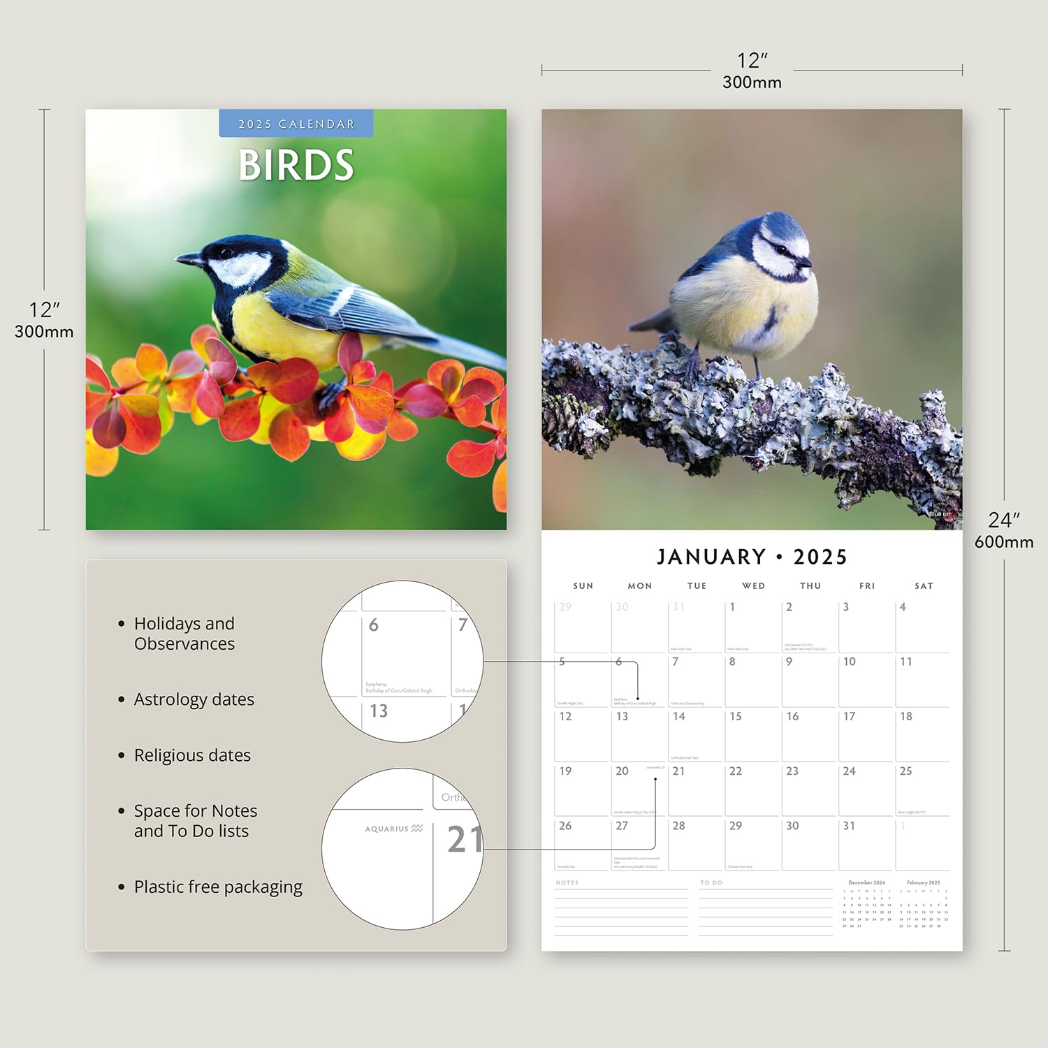 Red Robin 2025 Birds Monthly Wall Calendar | 12" x 24" Open | Premium Thick & Sturdy Paper | Hangable 12 Month Calendar | Plastic Free | 4 Month Transition Page for 2024