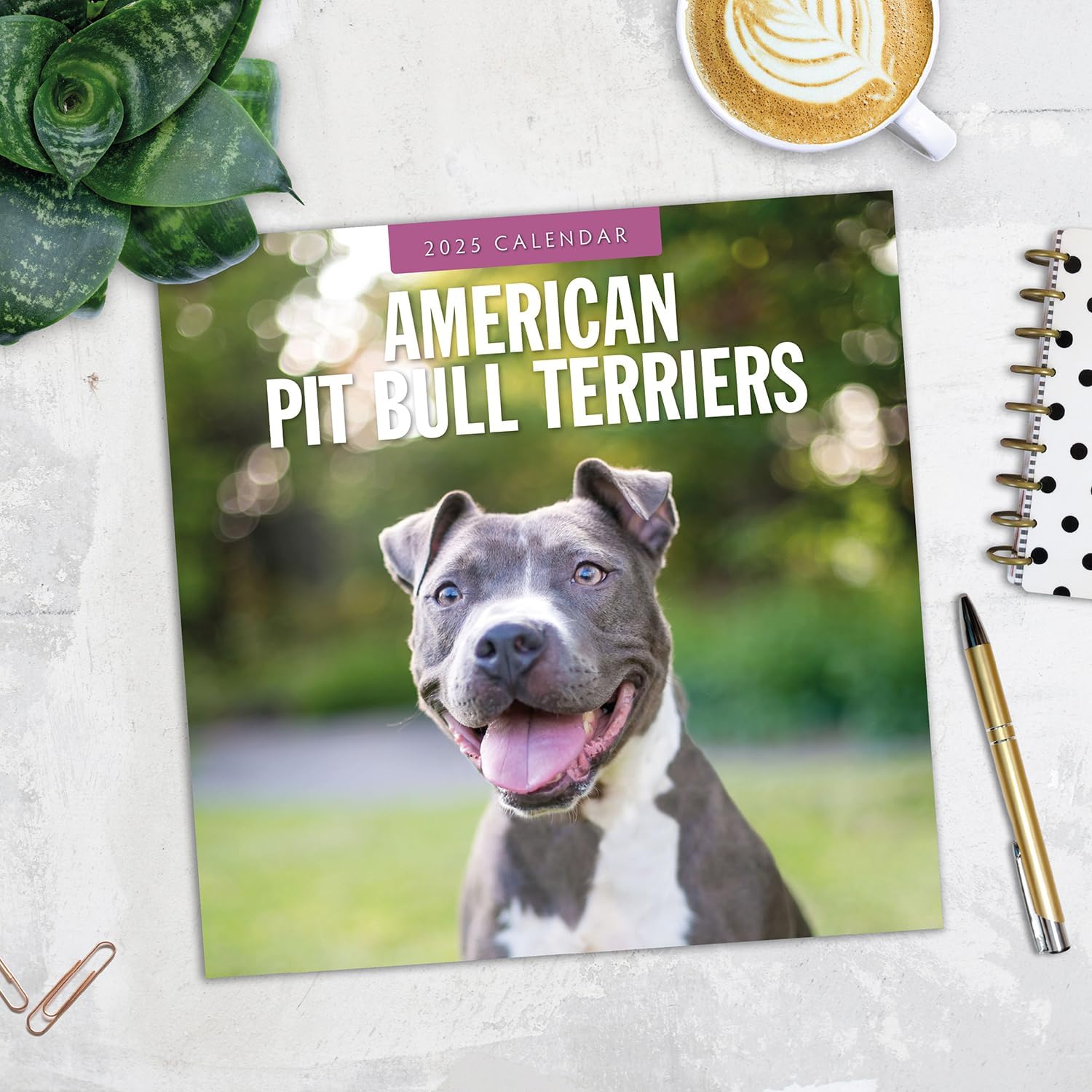 Red Robin 2025 American Pit Bull Terriers Monthly Wall Calendar | 12" x 24" Open | Premium Thick & Sturdy Paper | Hangable 12 Month Calendar | Plastic Free | 4 Month Transition Page for 2024