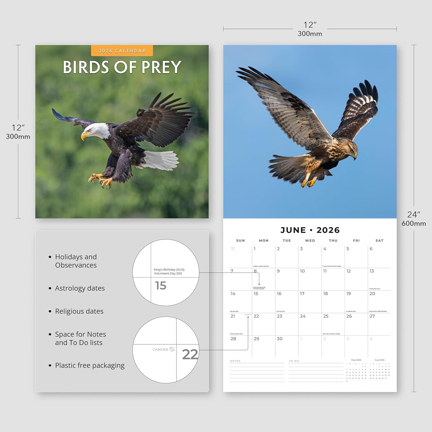 Birds Of Prey - 2026 Square Wall Calendar - by Red Robin Publishing