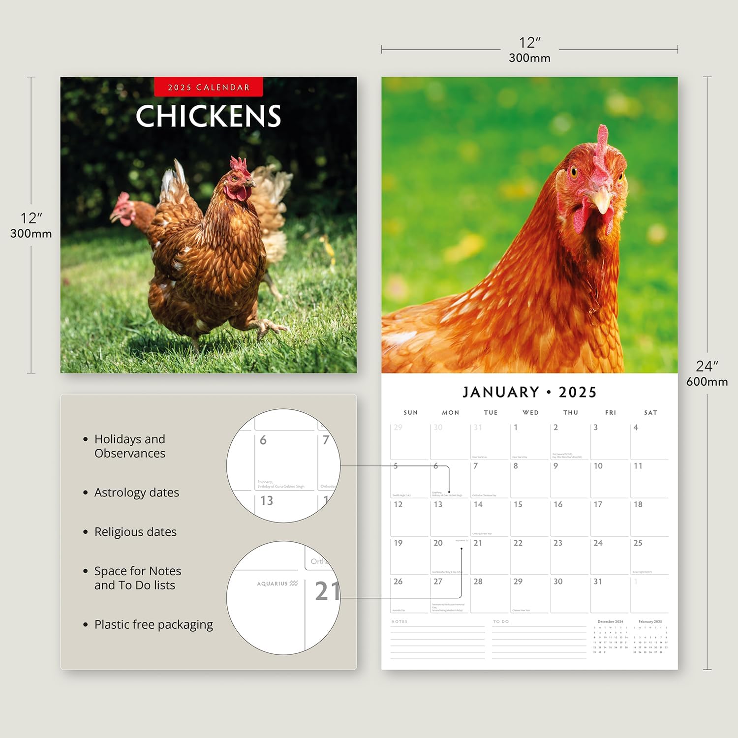 Red Robin 2025 Chickens Monthly Wall Calendar | 12" x 24" Open | Premium Thick & Sturdy Paper | Hangable 12 Month Calendar | Plastic Free | 4 Month Transition Page for 2024