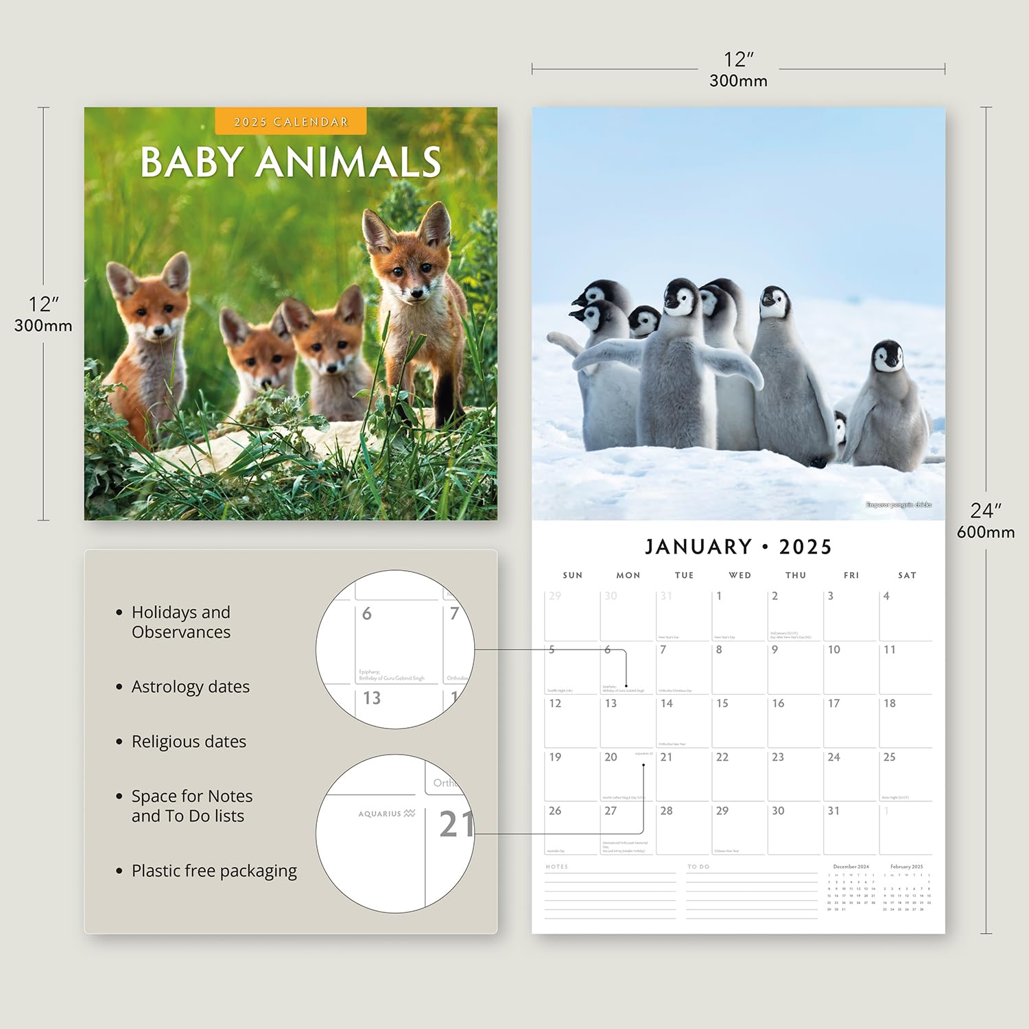 Red Robin 2025 Baby Animals Monthly Wall Calendar | 12" x 24" Open | Premium Thick & Sturdy Paper | Hangable 12 Month Calendar | Plastic Free | 4 Month Transition Page for 2024