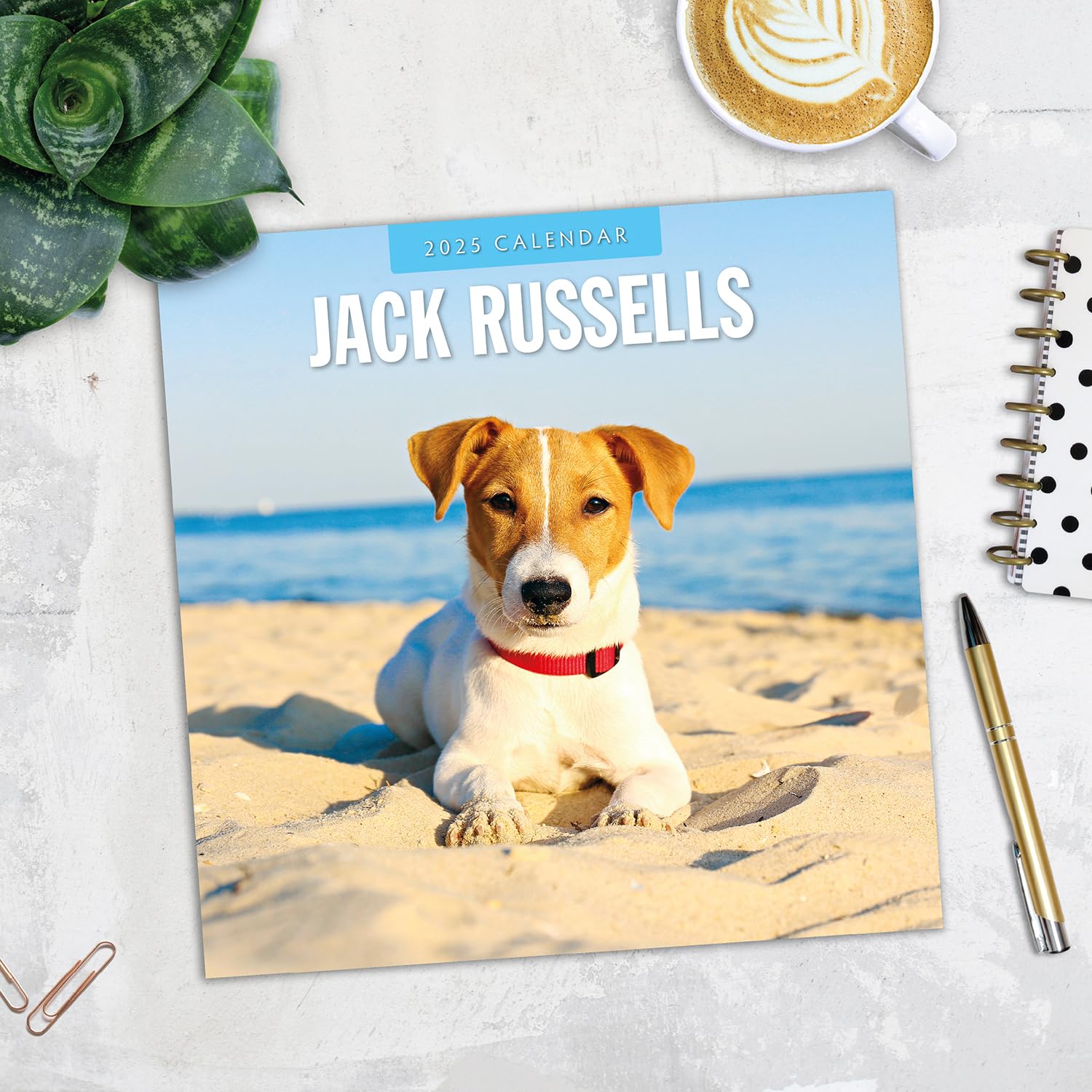 Red Robin 2025 Jack Russells Monthly Wall Calendar | 12" x 24" Open | Premium Thick & Sturdy Paper | Hangable 12 Month Calendar | Plastic Free | 4 Month Transition Page for 2024
