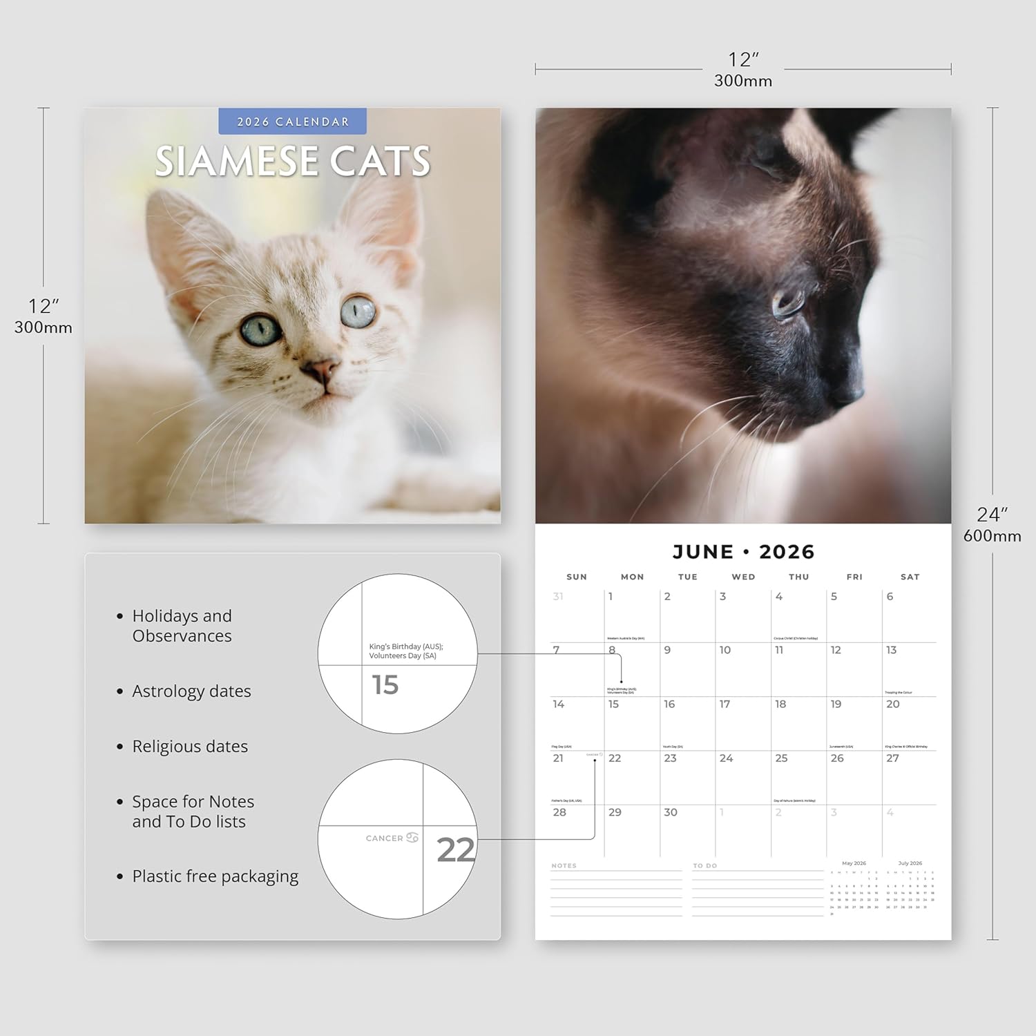 Red Robin 2026 Siamese Cats Monthly Wall Calendar | 12" x 24" Open | Premium Thick & Sturdy Paper | Hangable 12 Month Calendar | Lined Notes & To Do Area | Vivid Images | Plastic Free