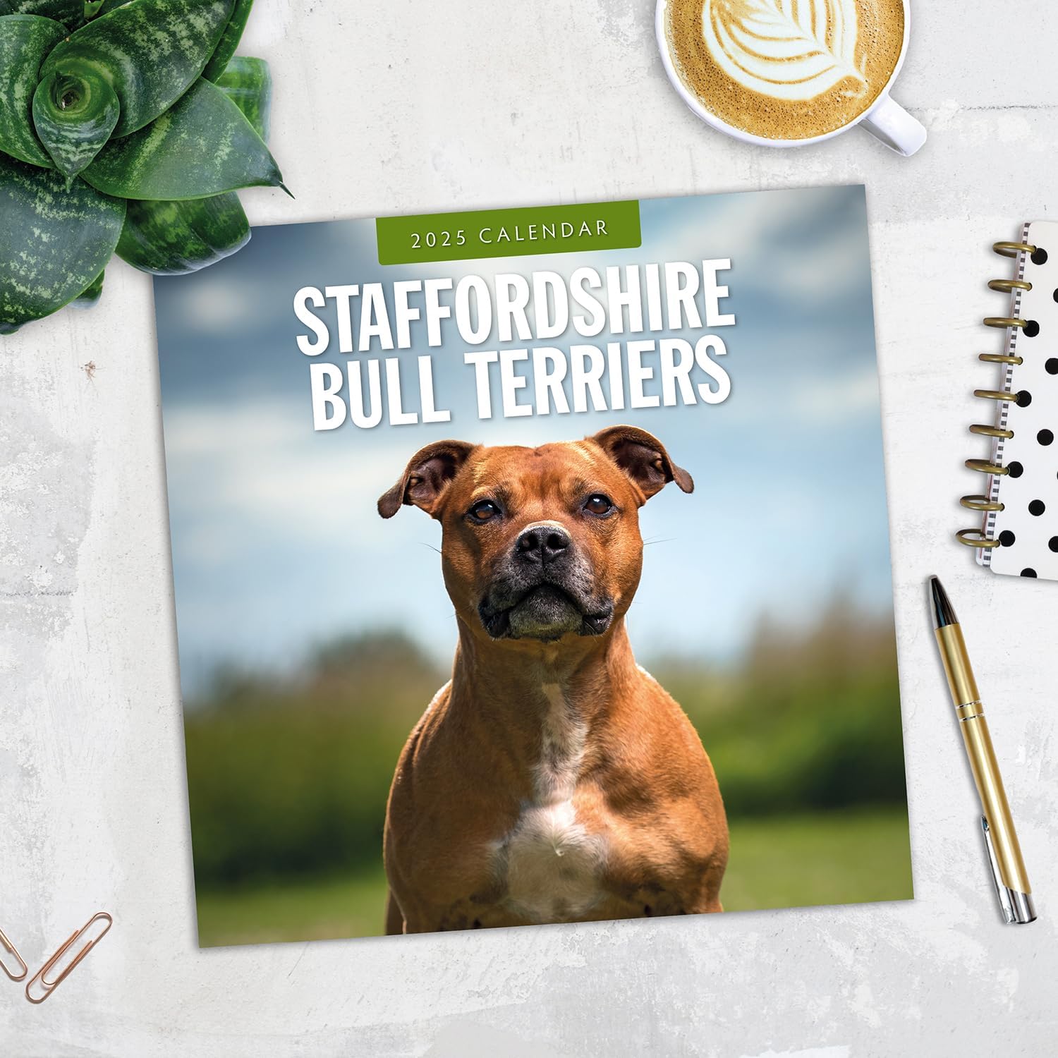 Red Robin 2025 Staffordshire Bull Terriers Monthly Wall Calendar | 12" x 24" Open | Premium Thick & Sturdy Paper | Hangable 12 Month Calendar | Plastic Free | 4 Month Transition Page for 2024