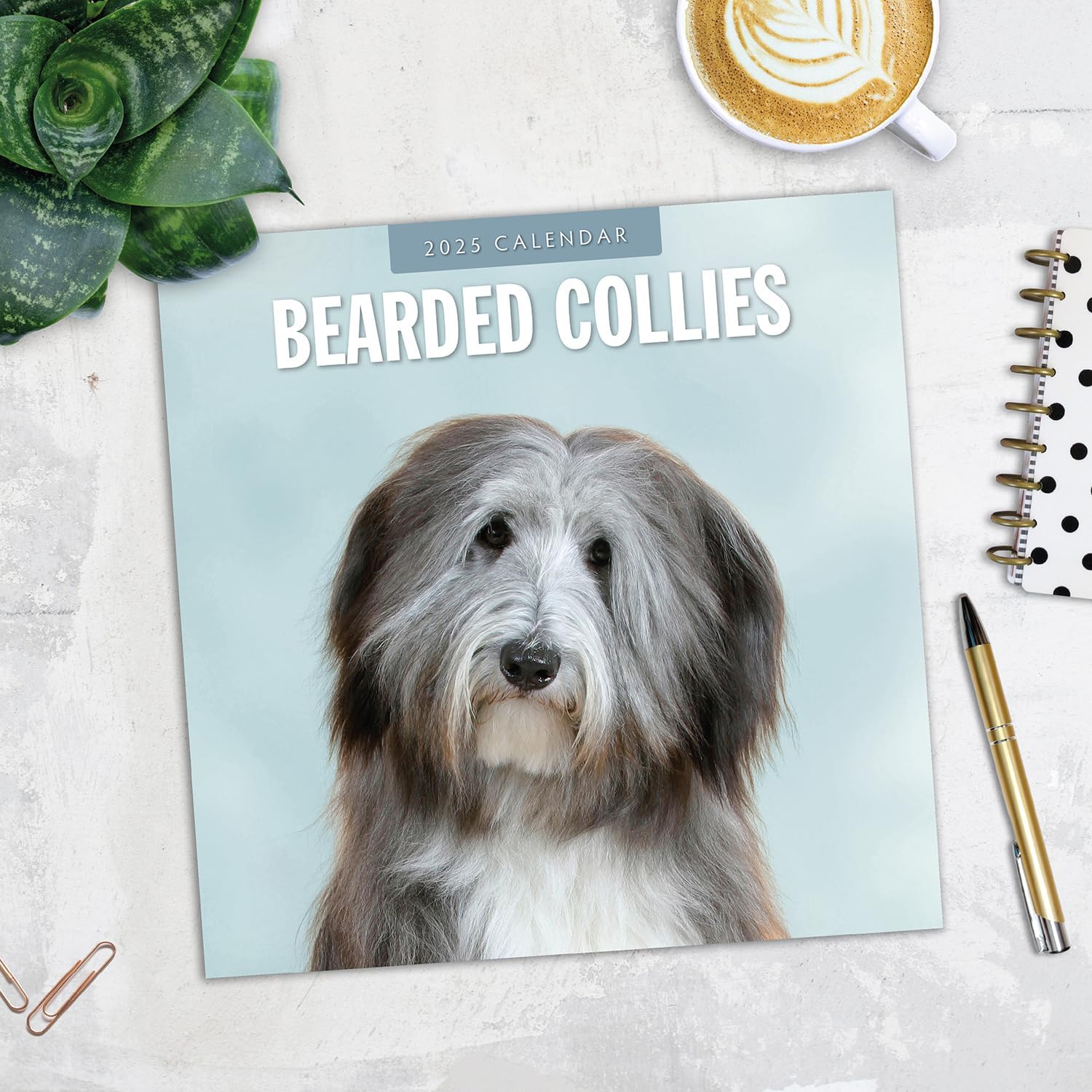 Red Robin 2025 Bearded Collies Monthly Wall Calendar | 12" x 24" Open | Premium Thick & Sturdy Paper | Hangable 12 Month Calendar | Plastic Free | 4 Month Transition Page for 2024