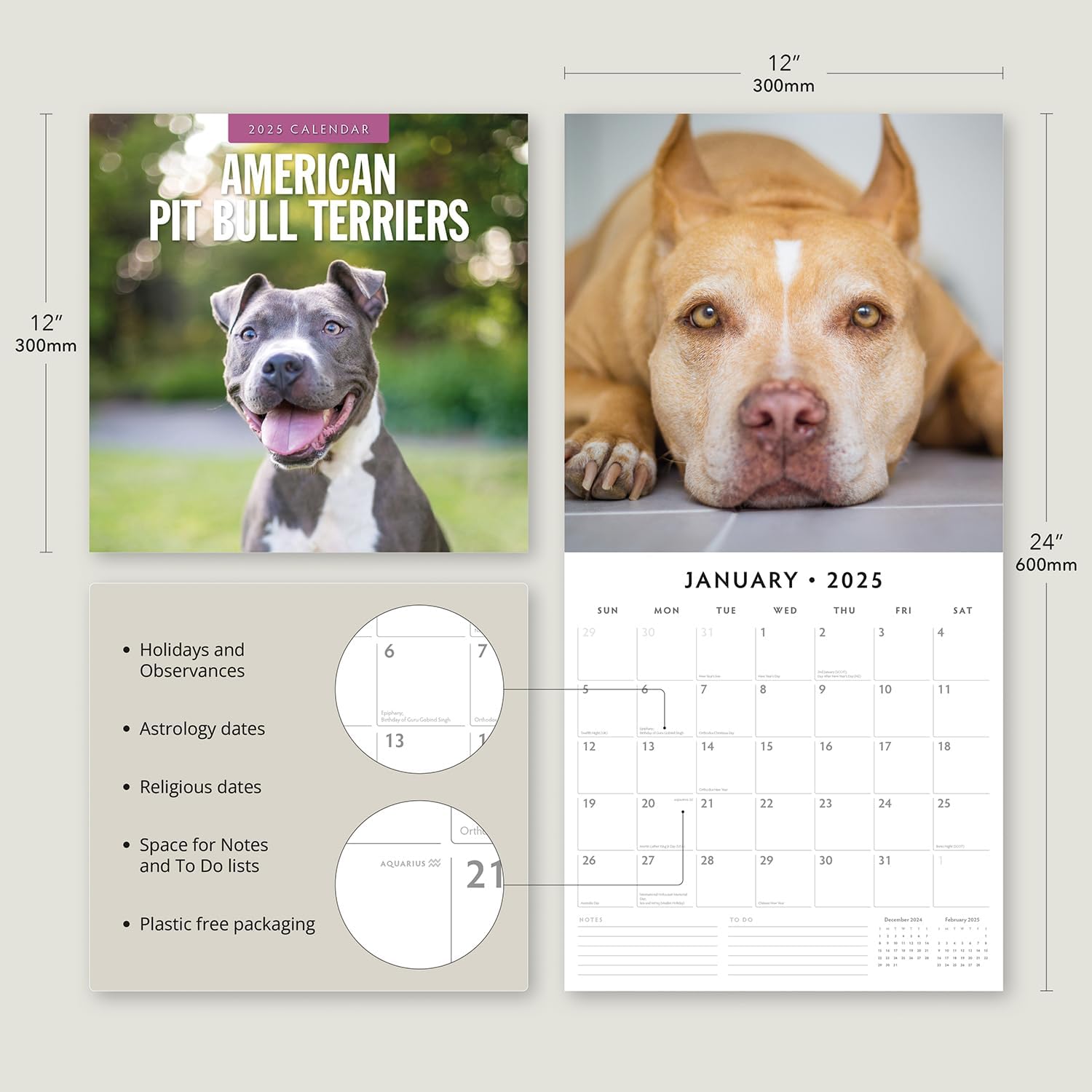 Red Robin 2025 American Pit Bull Terriers Monthly Wall Calendar | 12" x 24" Open | Premium Thick & Sturdy Paper | Hangable 12 Month Calendar | Plastic Free | 4 Month Transition Page for 2024