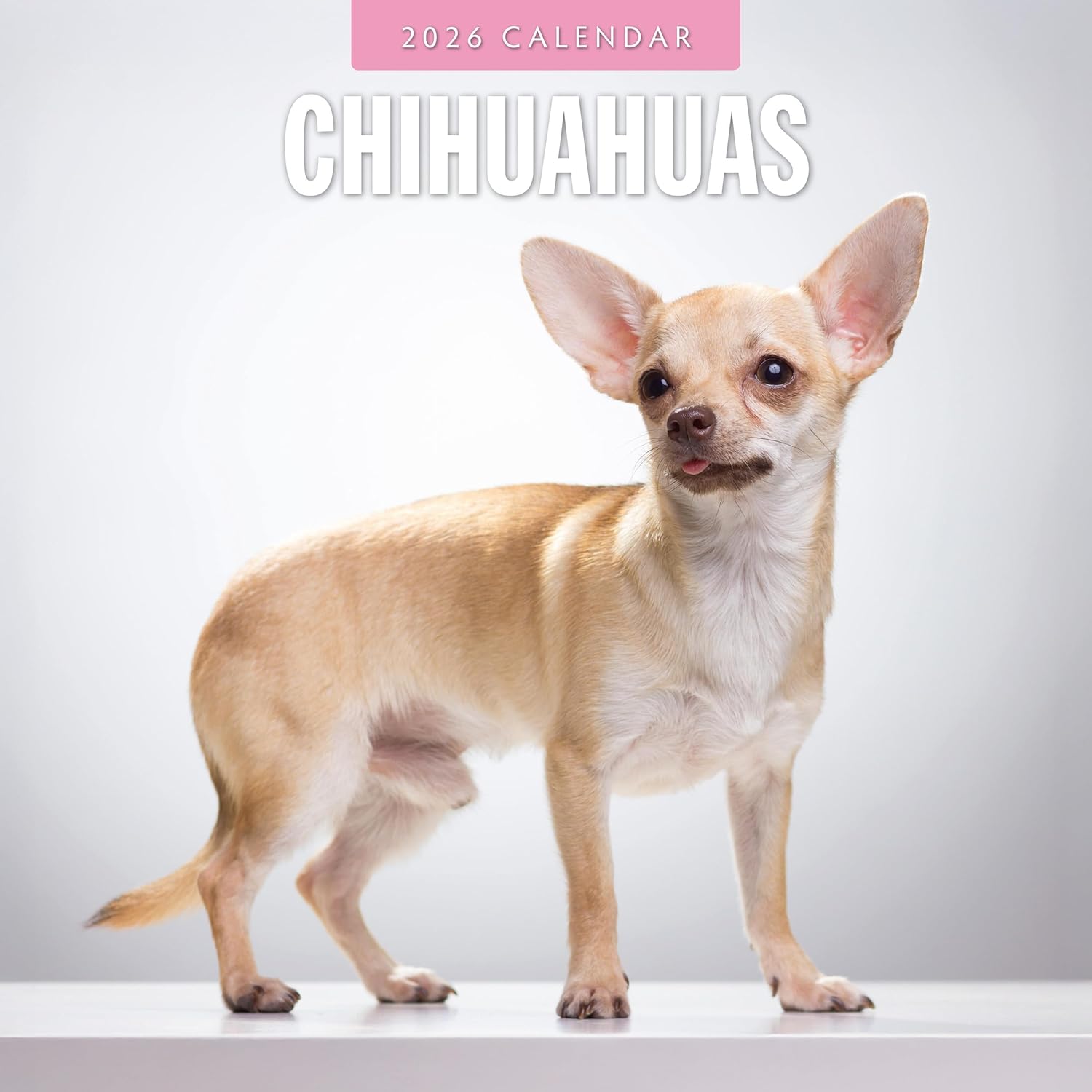 Red Robin 2026 Chihuahuas Monthly Wall Calendar | 12" x 24" Open | Premium Thick & Sturdy Paper | Hangable 12 Month Calendar | Lined Notes & To Do Area | Vivid Images | Plastic Free