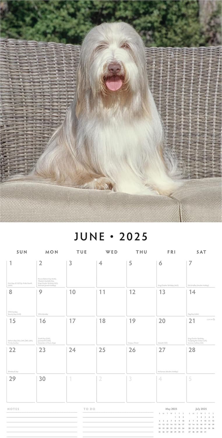 Red Robin 2025 Bearded Collies Monthly Wall Calendar | 12" x 24" Open | Premium Thick & Sturdy Paper | Hangable 12 Month Calendar | Plastic Free | 4 Month Transition Page for 2024