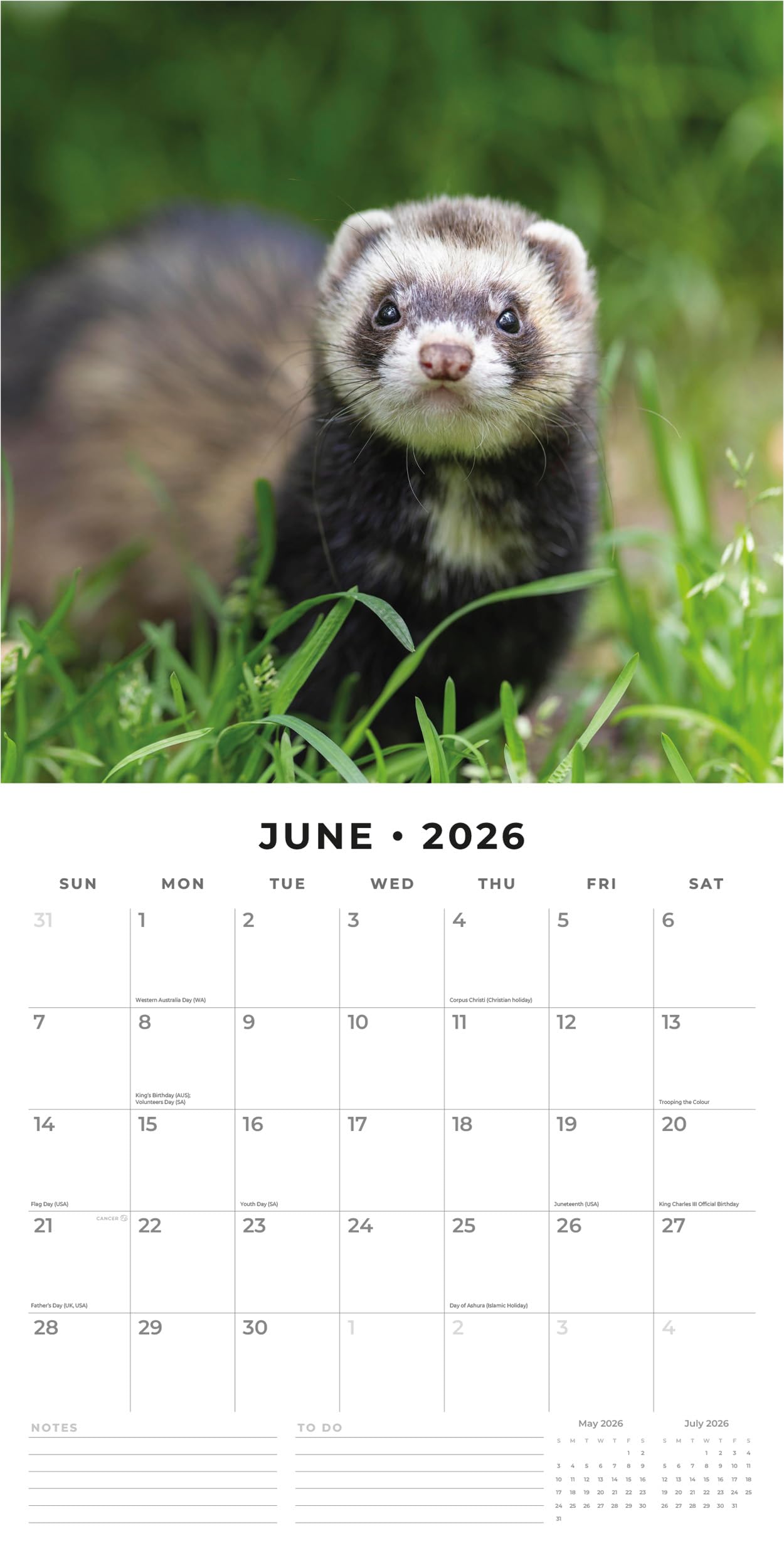 Red Robin 2027 Cats & Dogs Monthly Wall Calendar | 12" x 12"