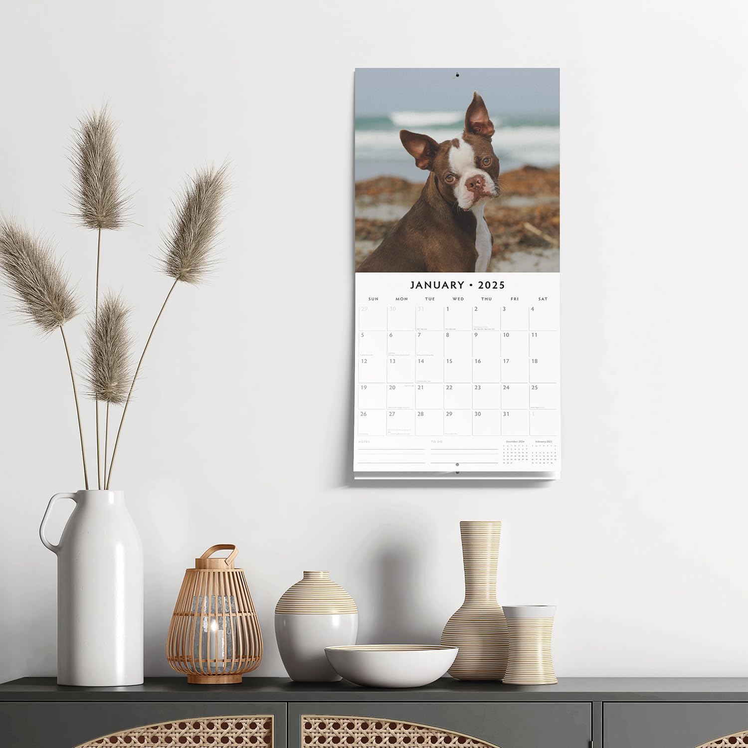 Red Robin 2025 Boston Terriers Monthly Wall Calendar | 12" x 24" Open | Premium Thick & Sturdy Paper | Hangable 12 Month Calendar | Plastic Free | 4 Month Transition Page for 2024