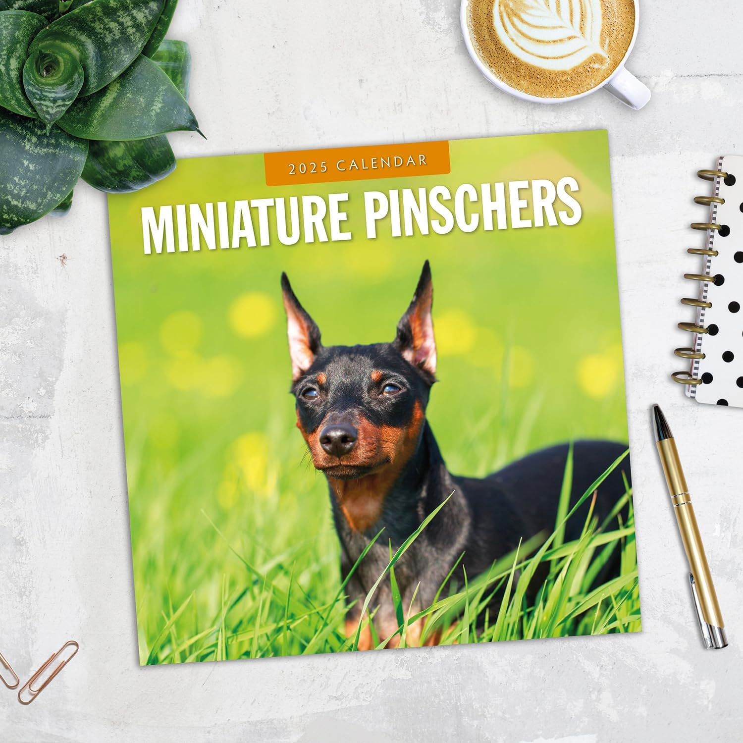 Red Robin 2025 Miniature Pinschers Monthly Wall Calendar | 12" x 24" Open | Premium Thick & Sturdy Paper | Hangable 12 Month Calendar | Plastic Free | 4 Month Transition Page for 2024