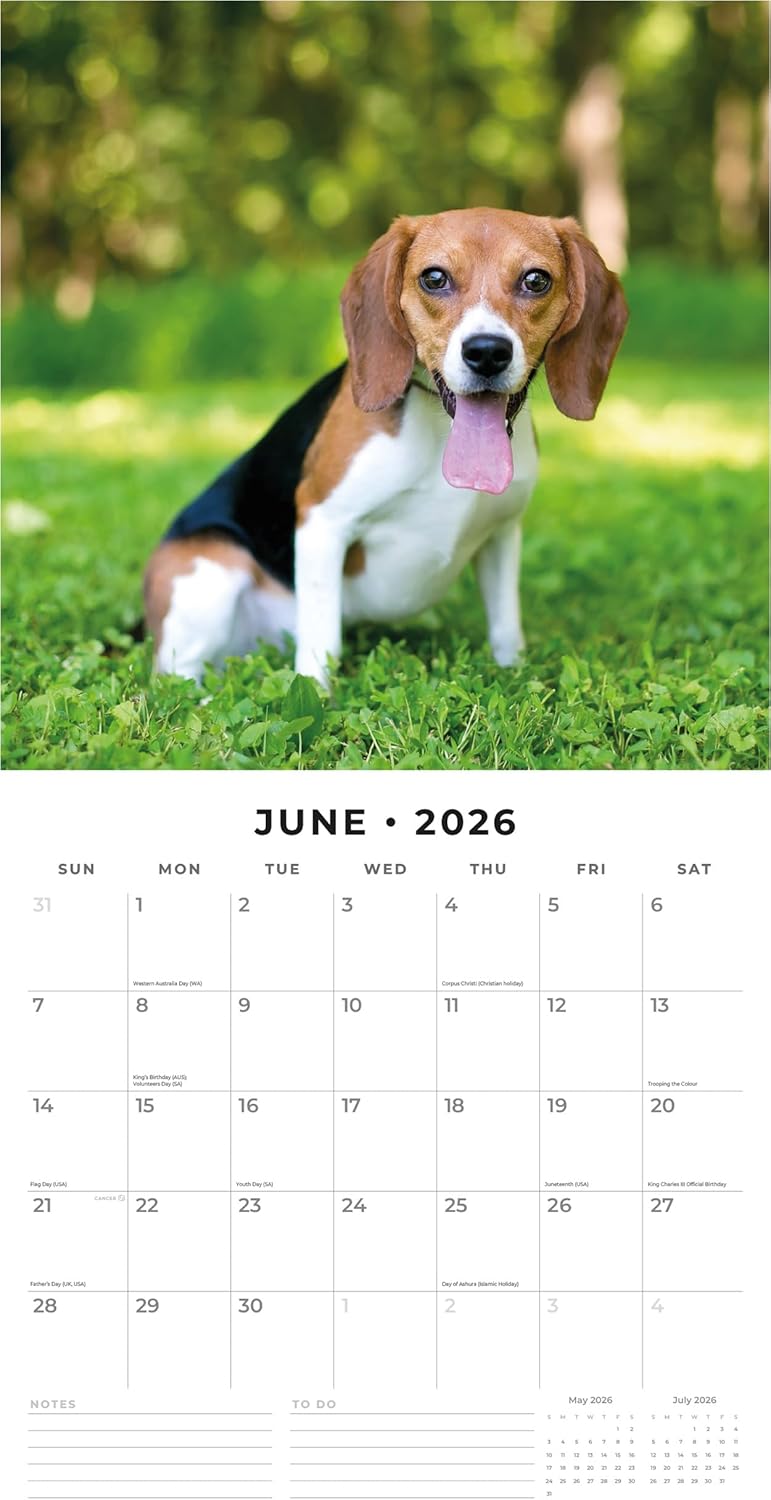 Red Robin 2026 Cute Puppies Monthly Wall Calendar | 12" x 24" Open | Premium Thick & Sturdy Paper | Hangable 12 Month Calendar | Lined Notes & To Do Area | Vivid Images | Plastic Free