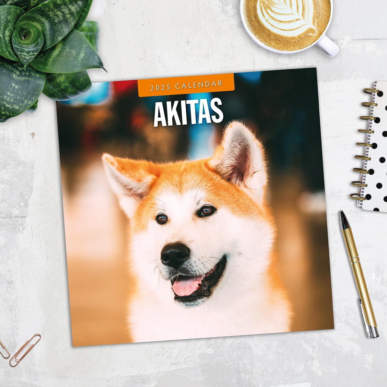 Red Robin 2025 Akitas Monthly Wall Calendar | 12" x 24" Open | Premium Thick & Sturdy Paper | Hangable 12 Month Calendar | Plastic Free | 4 Month Transition Page for 2024