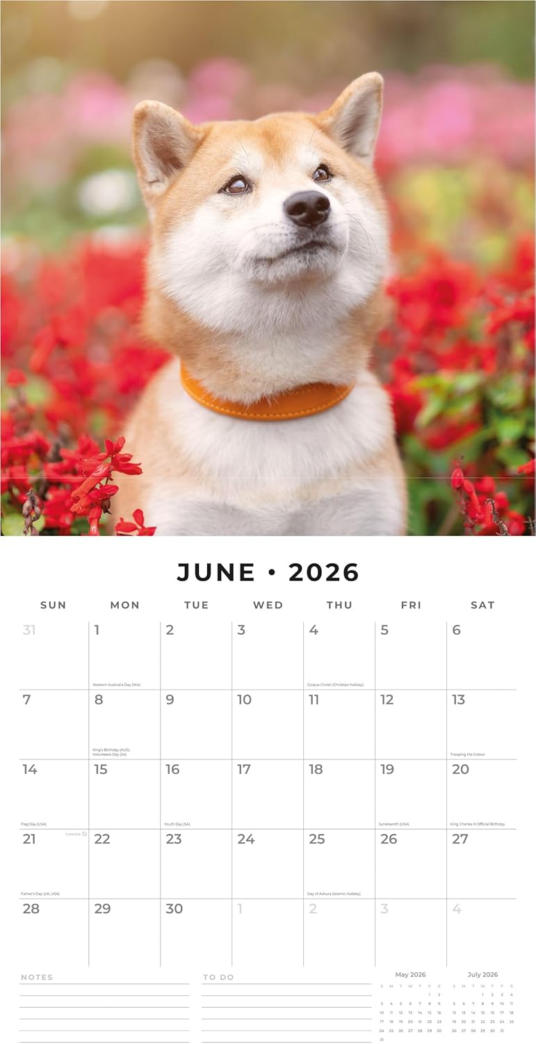 Red Robin 2026 Shiba Inu Monthly Wall Calendar | 12" x 24" Open | Premium Thick & Sturdy Paper | Hangable 12 Month Calendar | Lined Notes & To Do Area | Vivid Images | Plastic Free