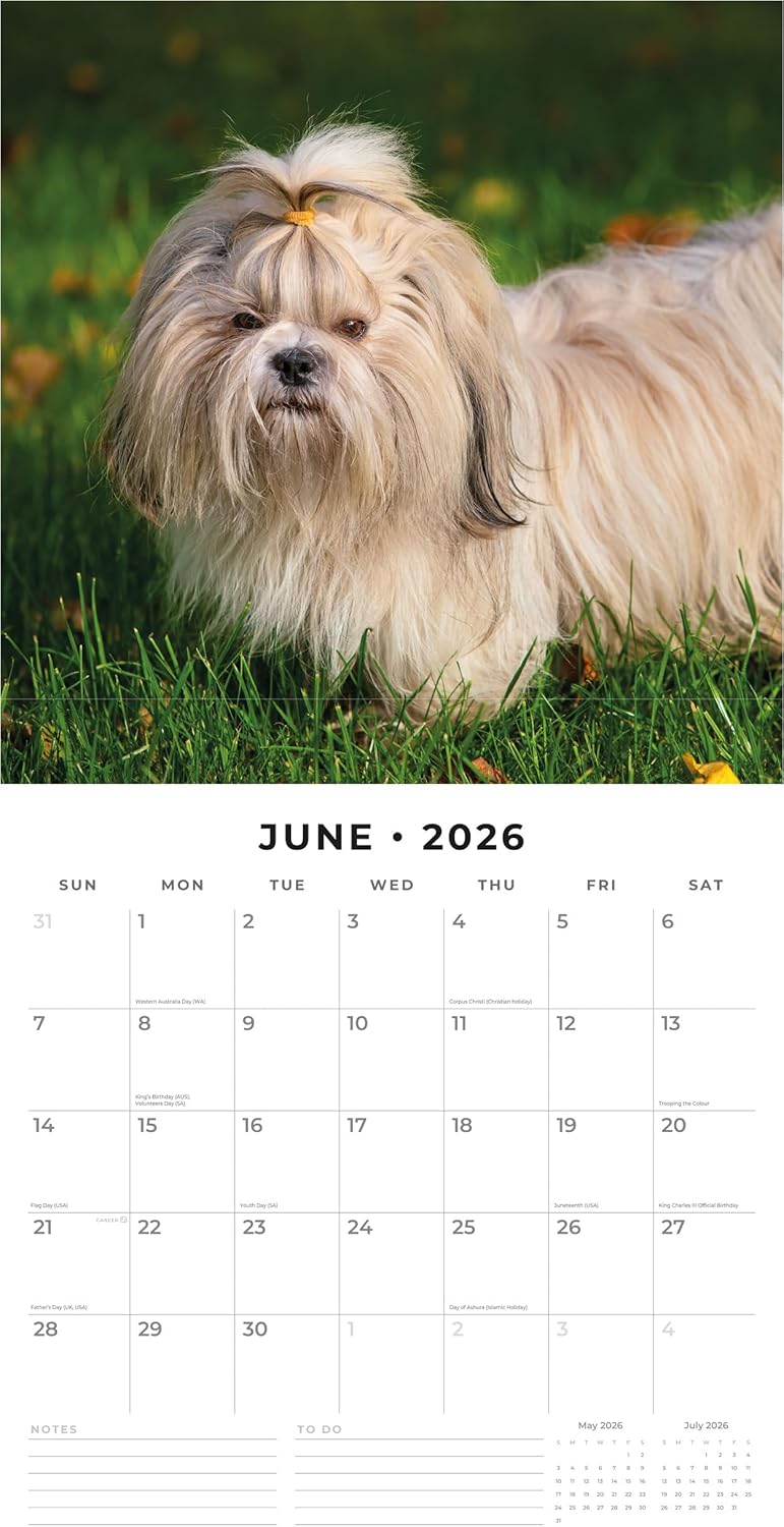 Red Robin 2026 Shih Tzu Monthly Wall Calendar | 12" x 24" Open | Premium Thick & Sturdy Paper | Hangable 12 Month Calendar | Lined Notes & To Do Area | Vivid Images | Plastic Free