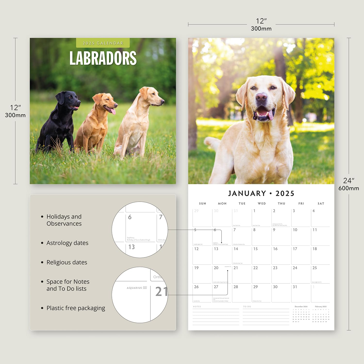 Red Robin 2025 Labradors Monthly Wall Calendar | 12" x 24" Open | Premium Thick & Sturdy Paper | Hangable 12 Month Calendar | Plastic Free | 4 Month Transition Page for 2024