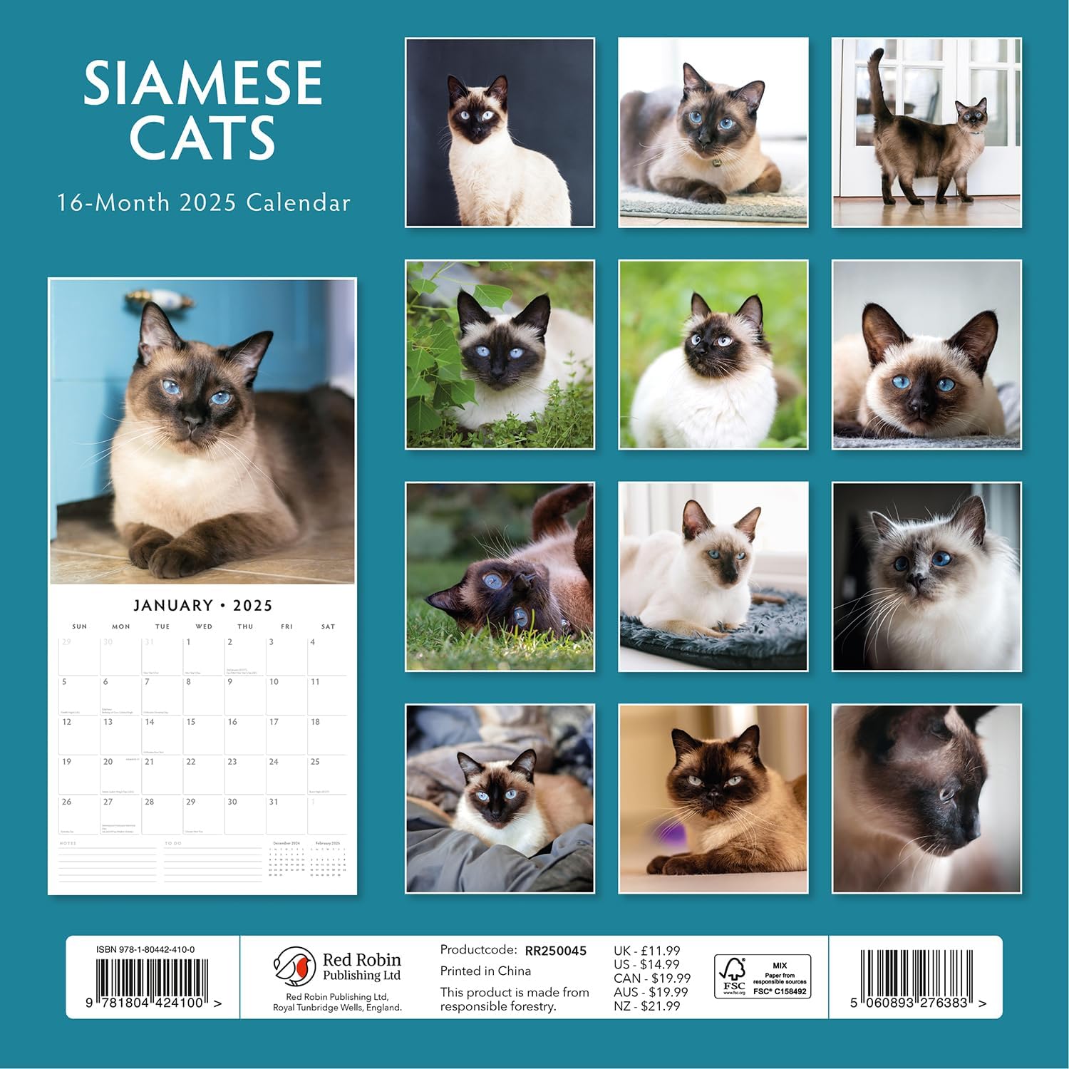 Red Robin 2025 Siamese Cats Monthly Wall Calendar | 12" x 24" Open | Premium Thick & Sturdy Paper | Hangable 12 Month Calendar | Plastic Free | 4 Month Transition Page for 2024