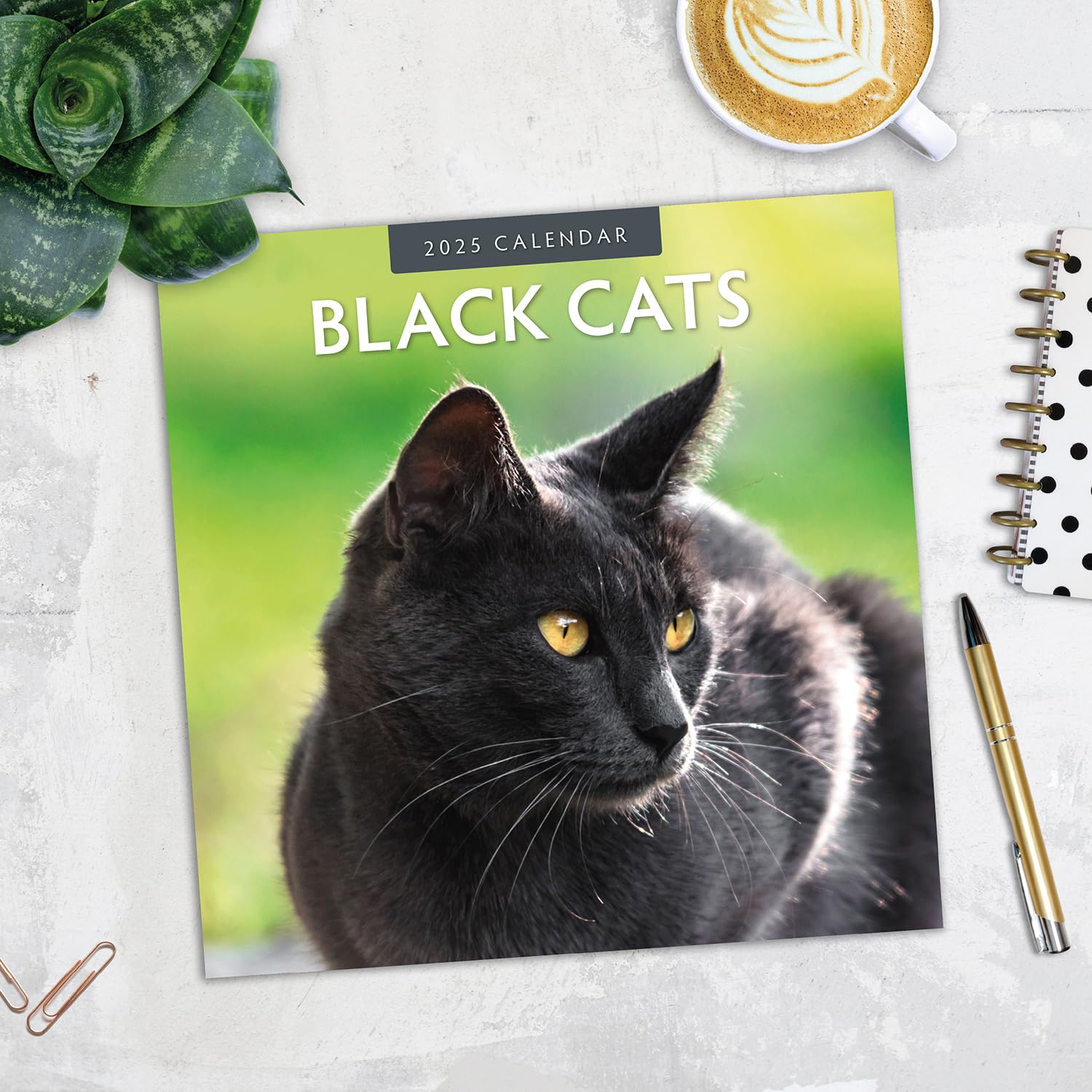 Red Robin 2025 Black Cats Monthly Wall Calendar | 12" x 24" Open | Premium Thick & Sturdy Paper | Hangable 12 Month Calendar | Plastic Free | 4 Month Transition Page for 2024