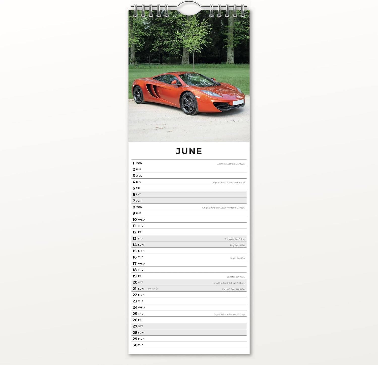 Red Robin 2026 Dream Cars Monthly Slim Calendar | 6" x 16" Open | Premium Thick & Sturdy Paper | Tall Hangable 12 Month Calendar | Vivid Images | Plastic Free | Wire Spiral