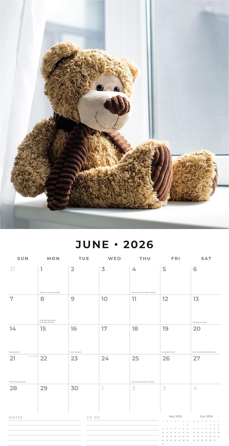 Red Robin 2026 Teddy Bears Monthly Wall Calendar | 12" x 24" Open | Premium Thick & Sturdy Paper | Hangable 12 Month Calendar | Lined Notes & To Do Area | Vivid Images | Plastic Free