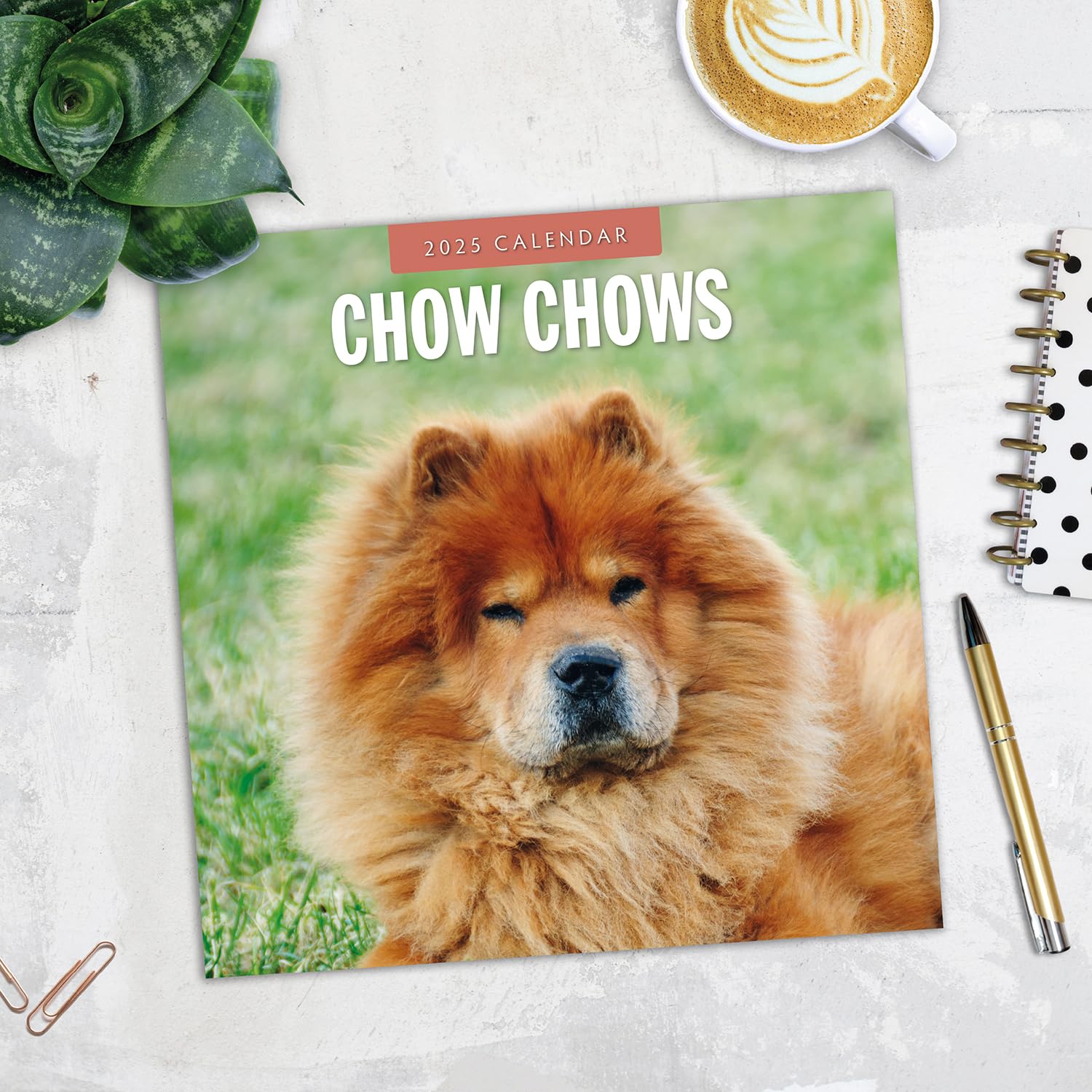 Red Robin 2025 Chow Chows Monthly Wall Calendar | 12" x 24" Open | Premium Thick & Sturdy Paper | Hangable 12 Month Calendar | Plastic Free | 4 Month Transition Page for 2024