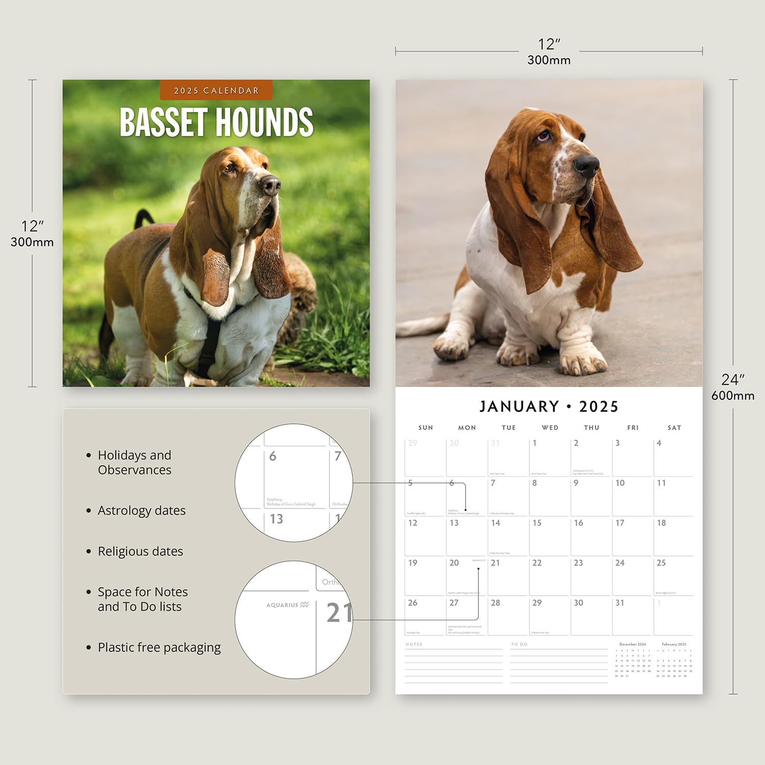 Red Robin 2025 Basset Hounds Monthly Wall Calendar | 12" x 24" Open | Premium Thick & Sturdy Paper | Hangable 12 Month Calendar | Plastic Free | 4 Month Transition Page for 2024