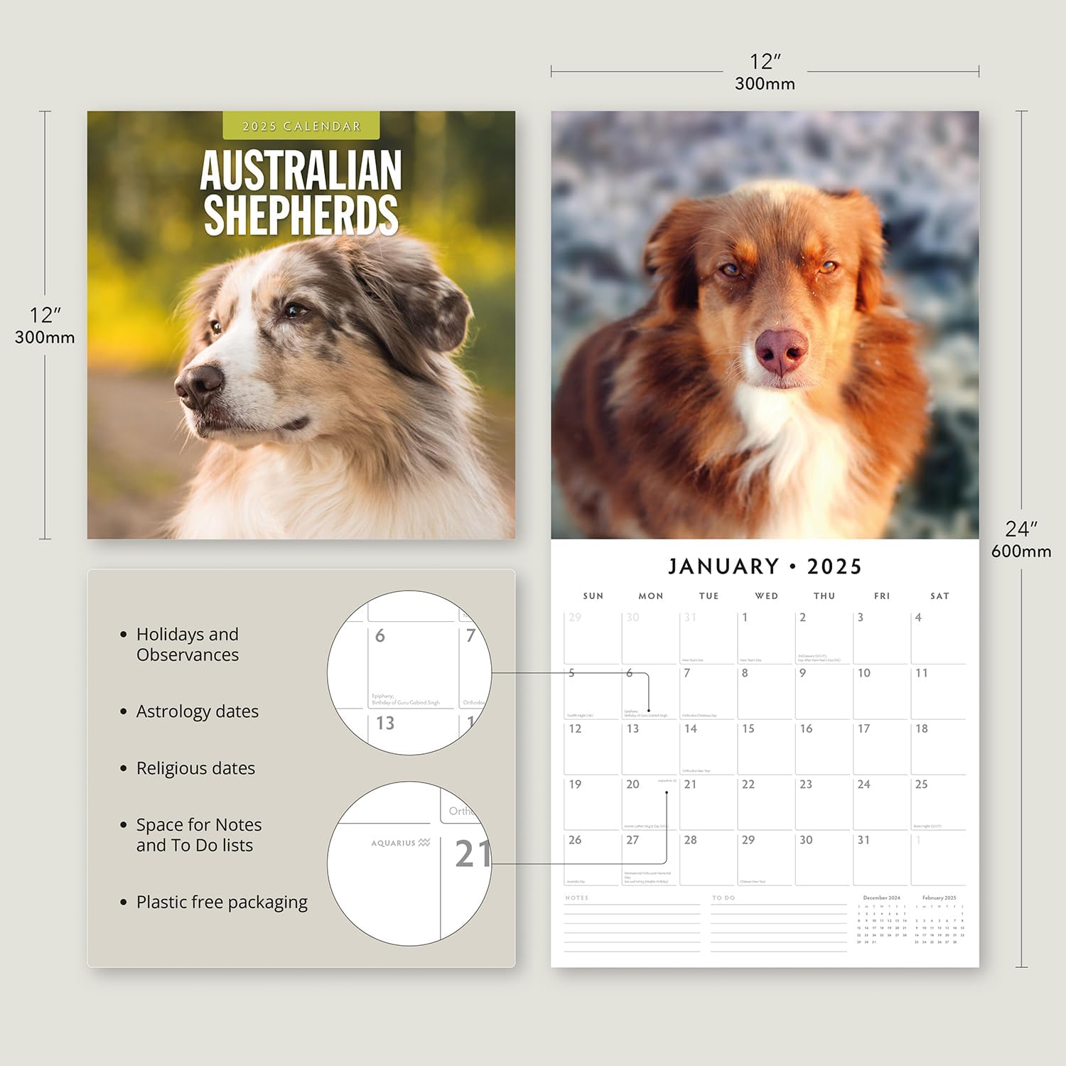 Red Robin 2025 Australian Shepherds Monthly Wall Calendar | 12" x 24" Open | Premium Thick & Sturdy Paper | Hangable 12 Month Calendar | Plastic Free | 4 Month Transition Page for 2024