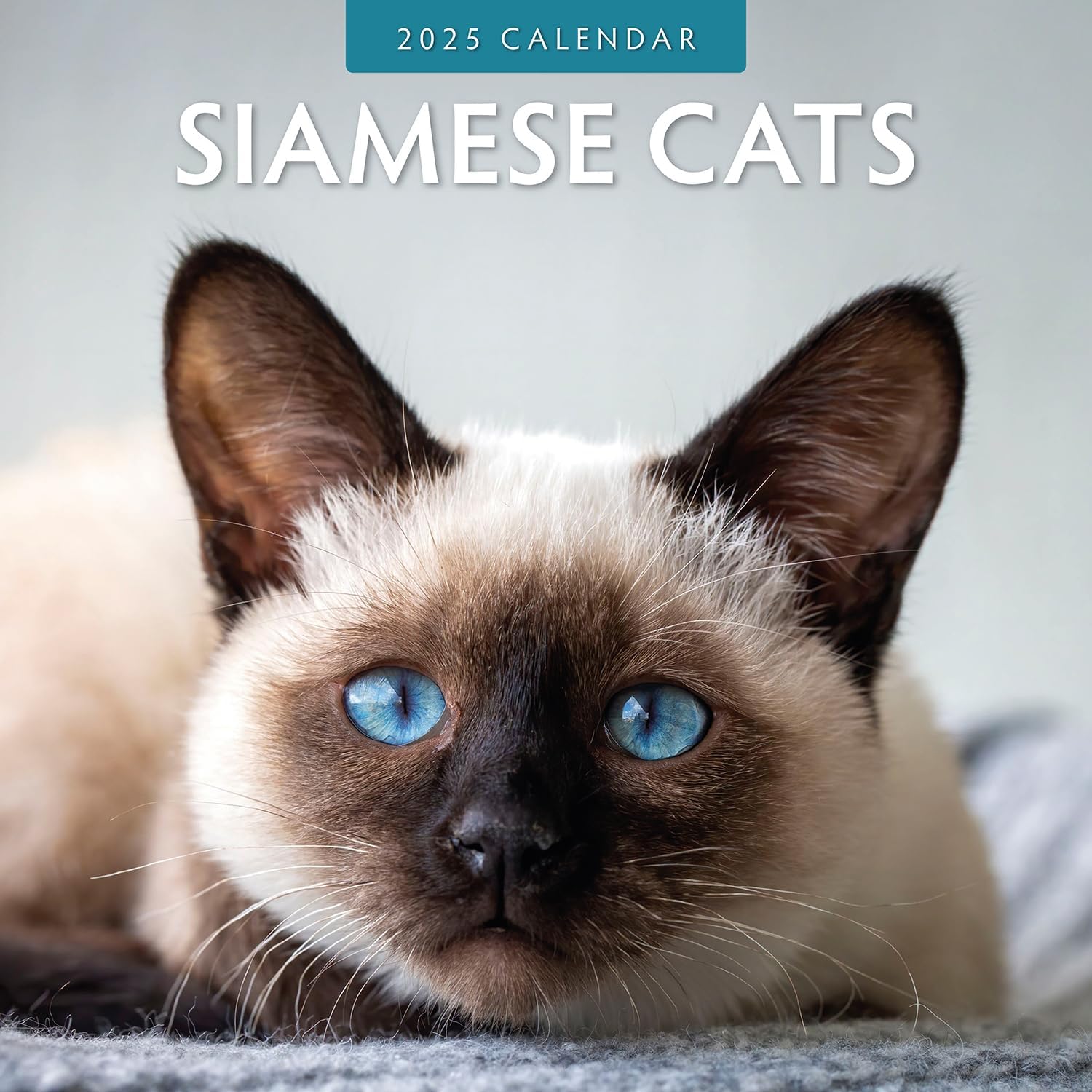 Red Robin 2025 Siamese Cats Monthly Wall Calendar | 12" x 24" Open | Premium Thick & Sturdy Paper | Hangable 12 Month Calendar | Plastic Free | 4 Month Transition Page for 2024
