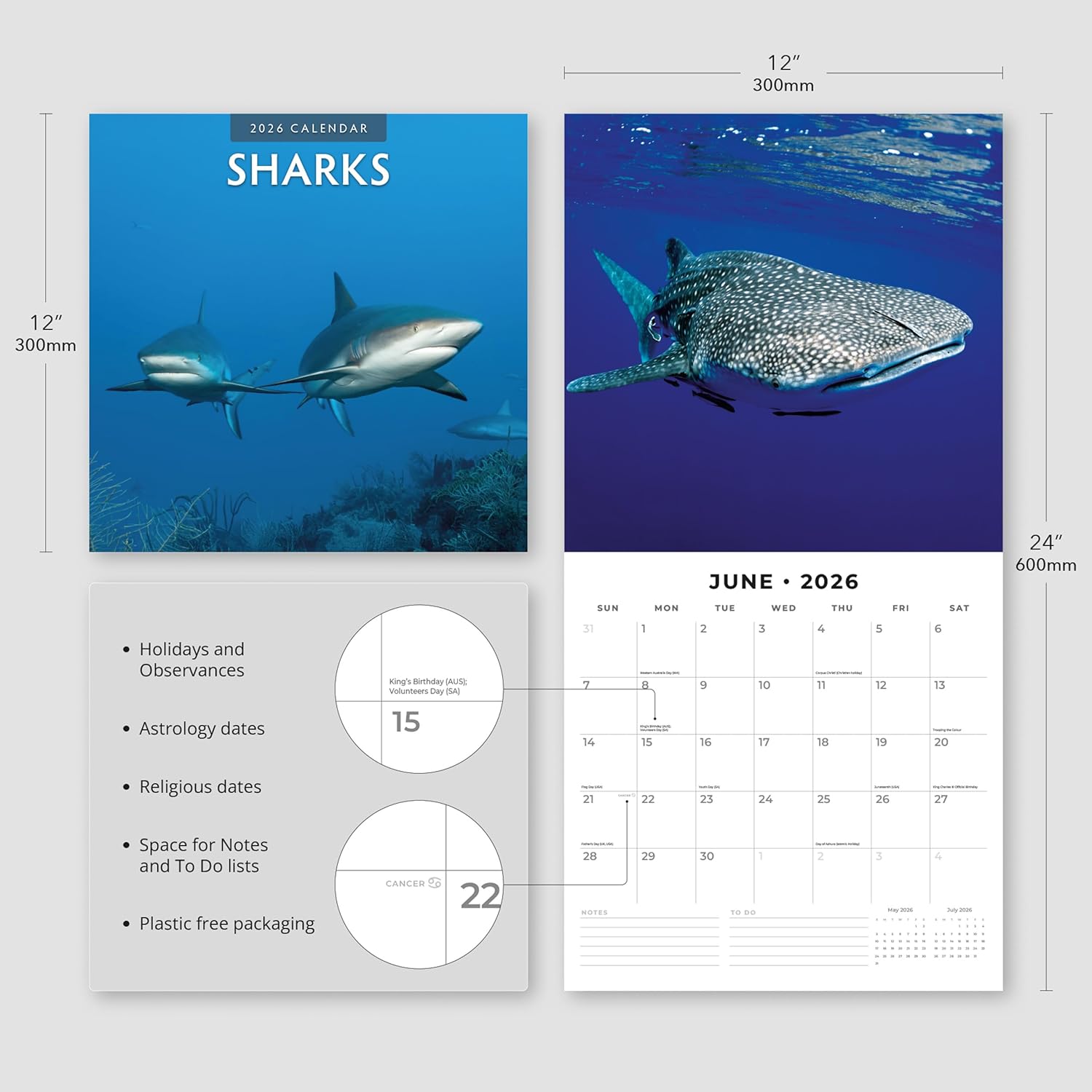 Red Robin 2026 Sharks Monthly Wall Calendar | 12" x 24" Open | Premium Thick & Sturdy Paper | Hangable 12 Month Calendar | Lined Notes & To Do Area | Vivid Images | Plastic Free