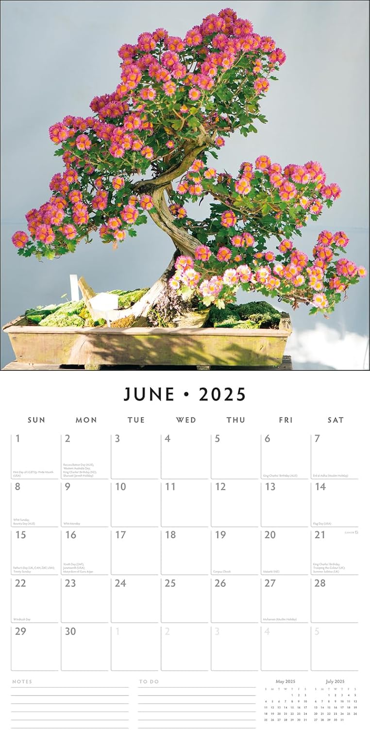 Red Robin 2025 Bonsai Monthly Wall Calendar | 12" x 24" Open | Premium Thick & Sturdy Paper | Hangable 12 Month Calendar | Plastic Free | 4 Month Transition Page for 2024