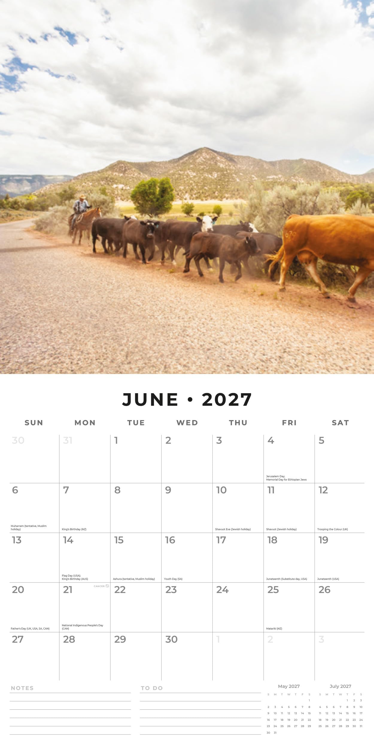 Red Robin 2027 Zen Monthly Wall Calendar | 12" x 12"
